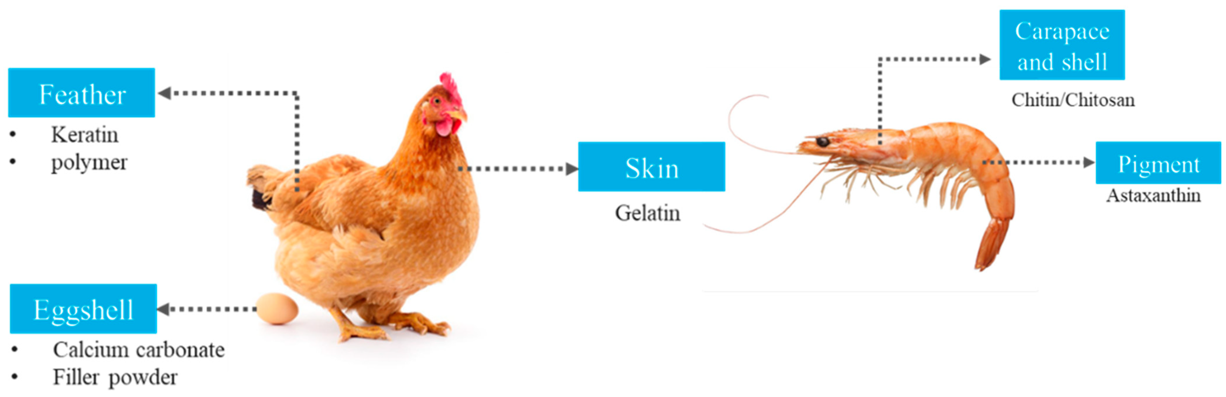 Polymers 15 00648 g004