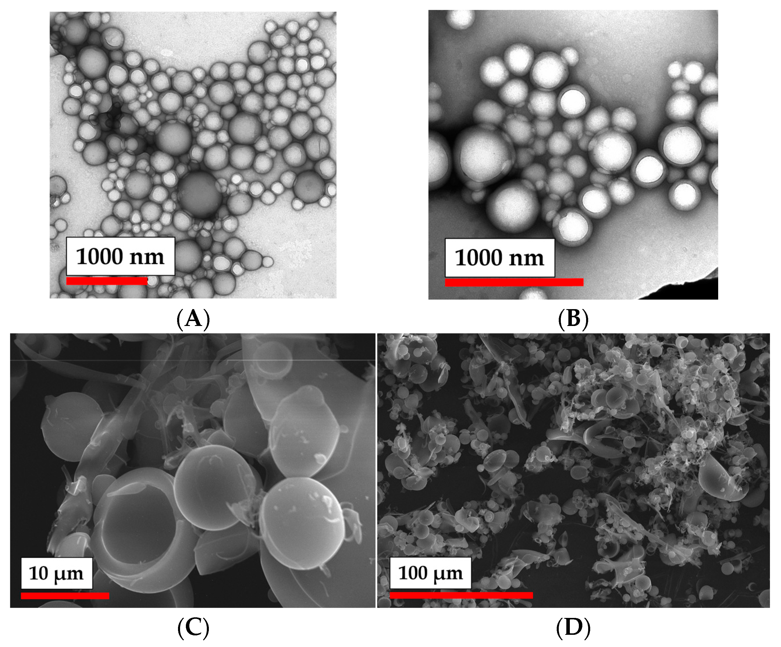 Polymers 15 00651 g004