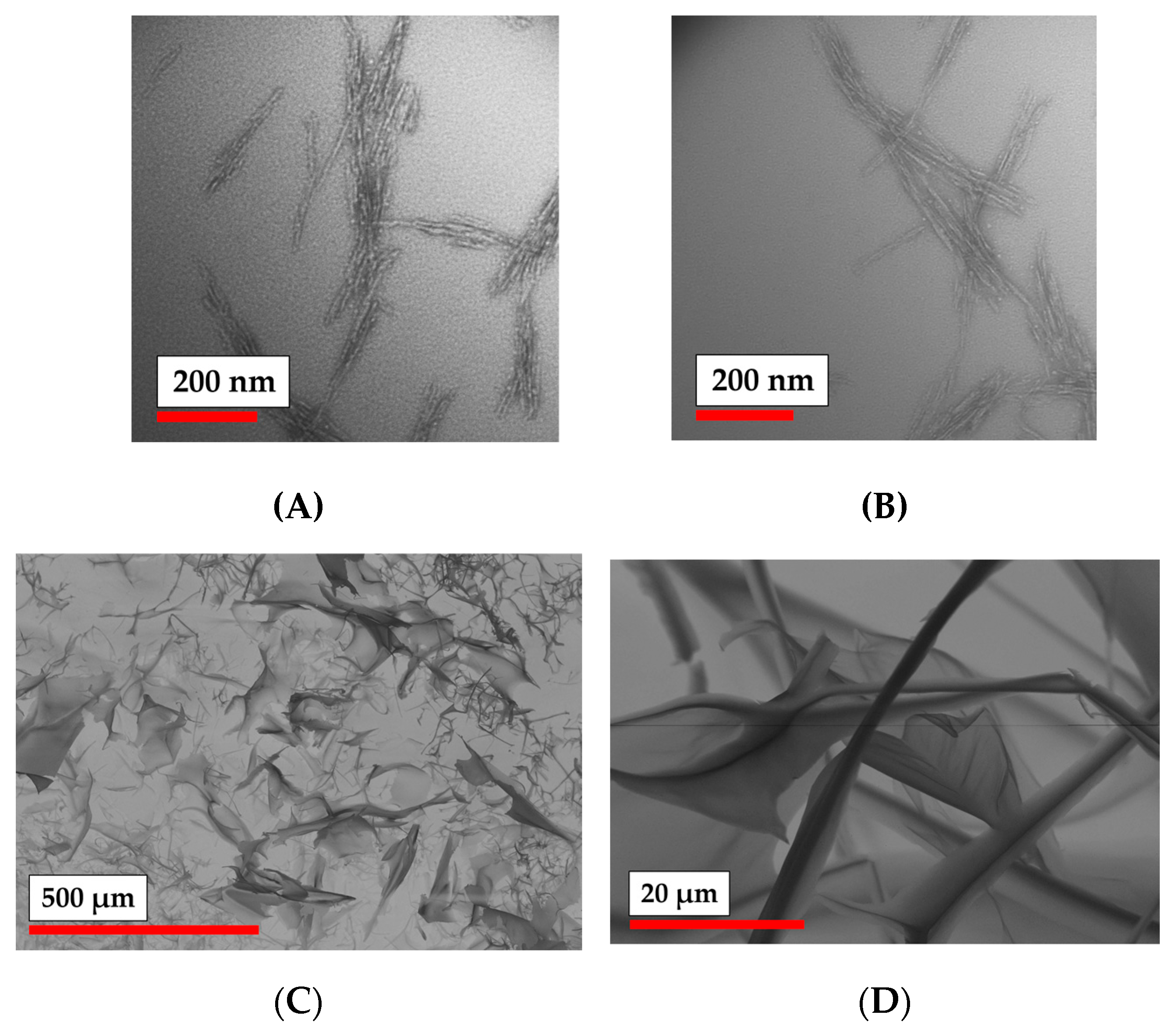 Polymers 15 00651 g005