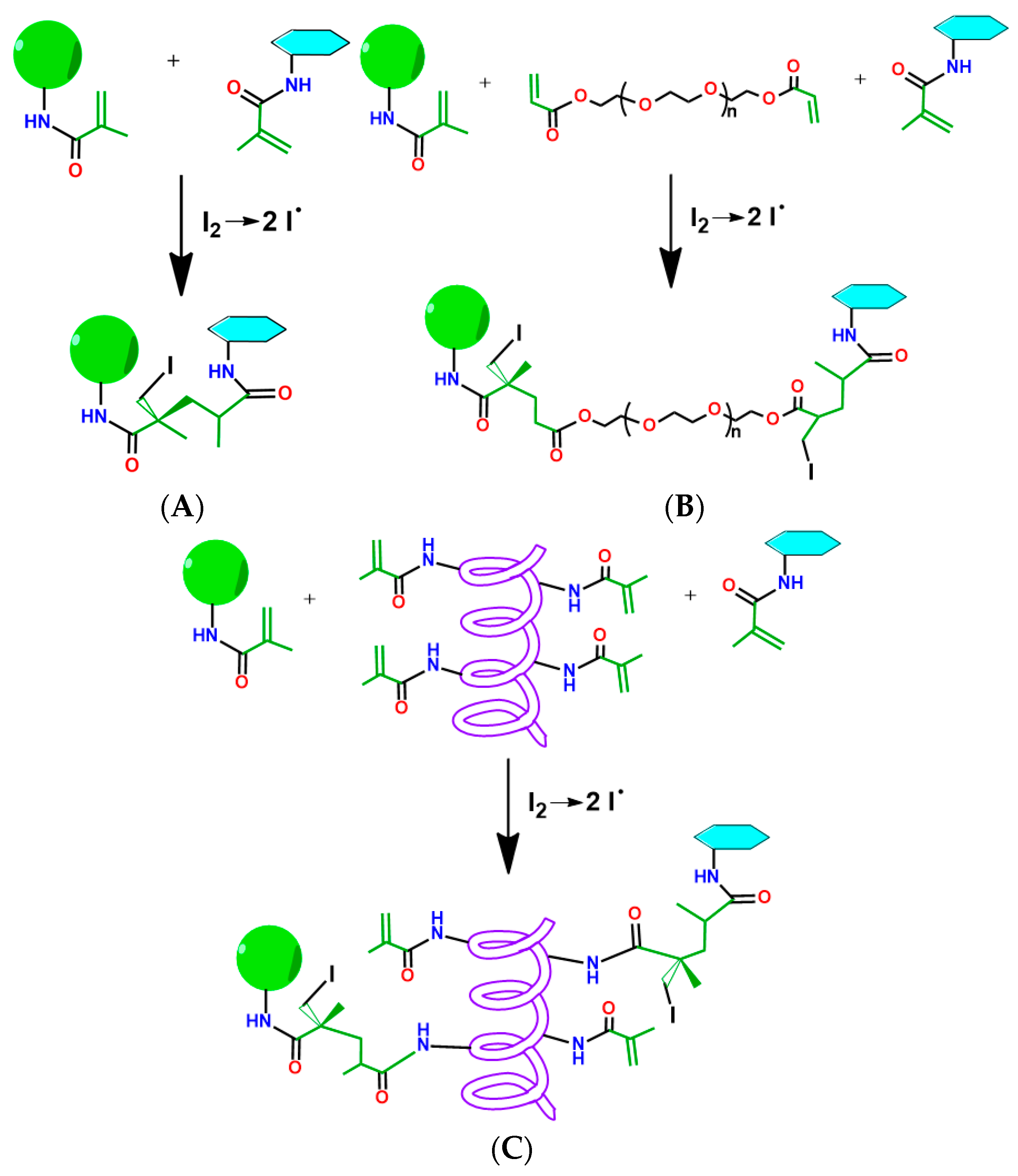 Polymers 15 00651 g007