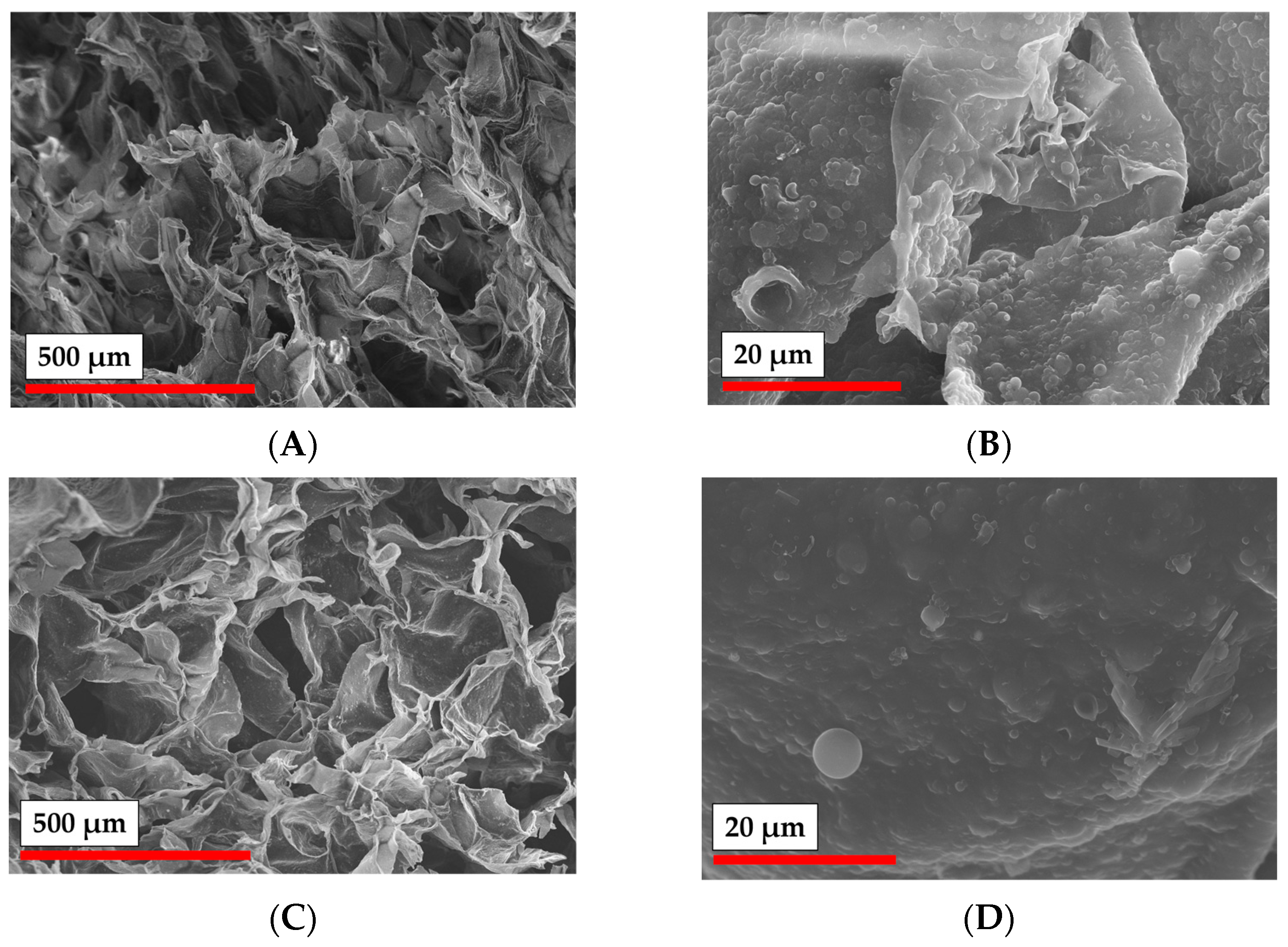 Polymers 15 00651 g010