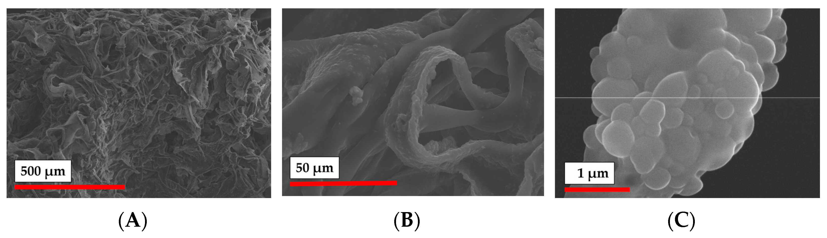 Polymers 15 00651 g011