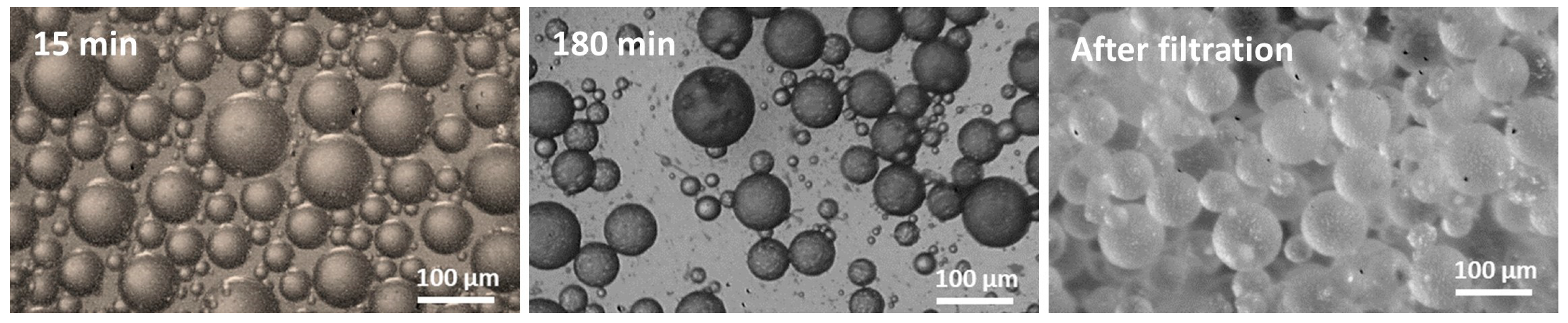 Polymers 15 00665 g001