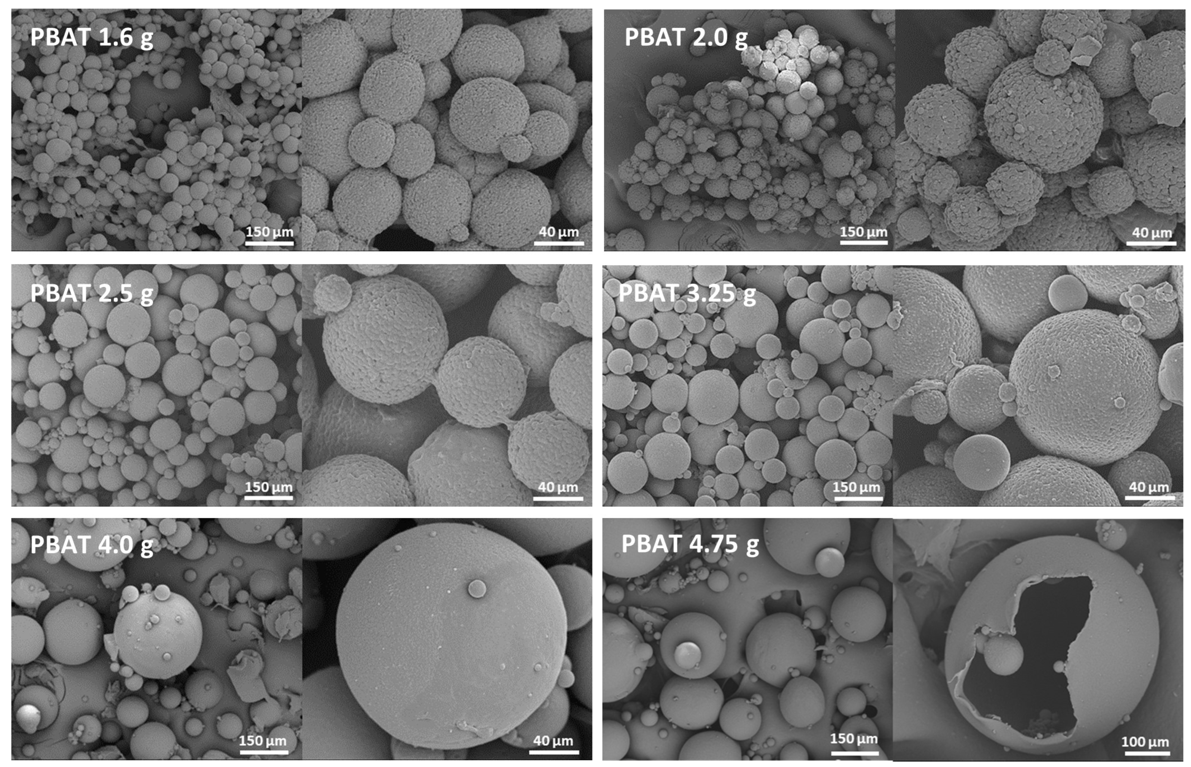 Polymers 15 00665 g008