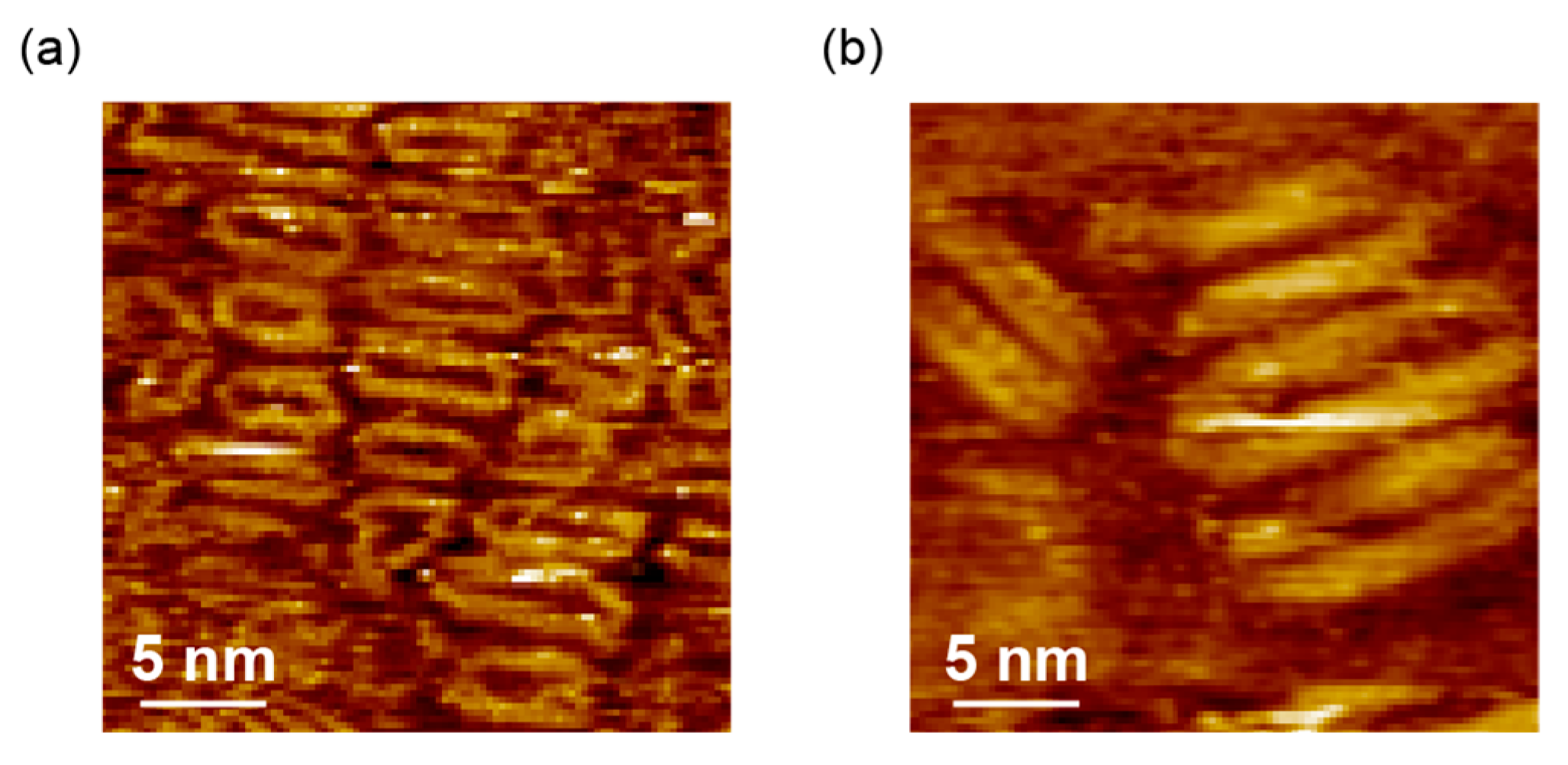 Polymers 15 00666 g002