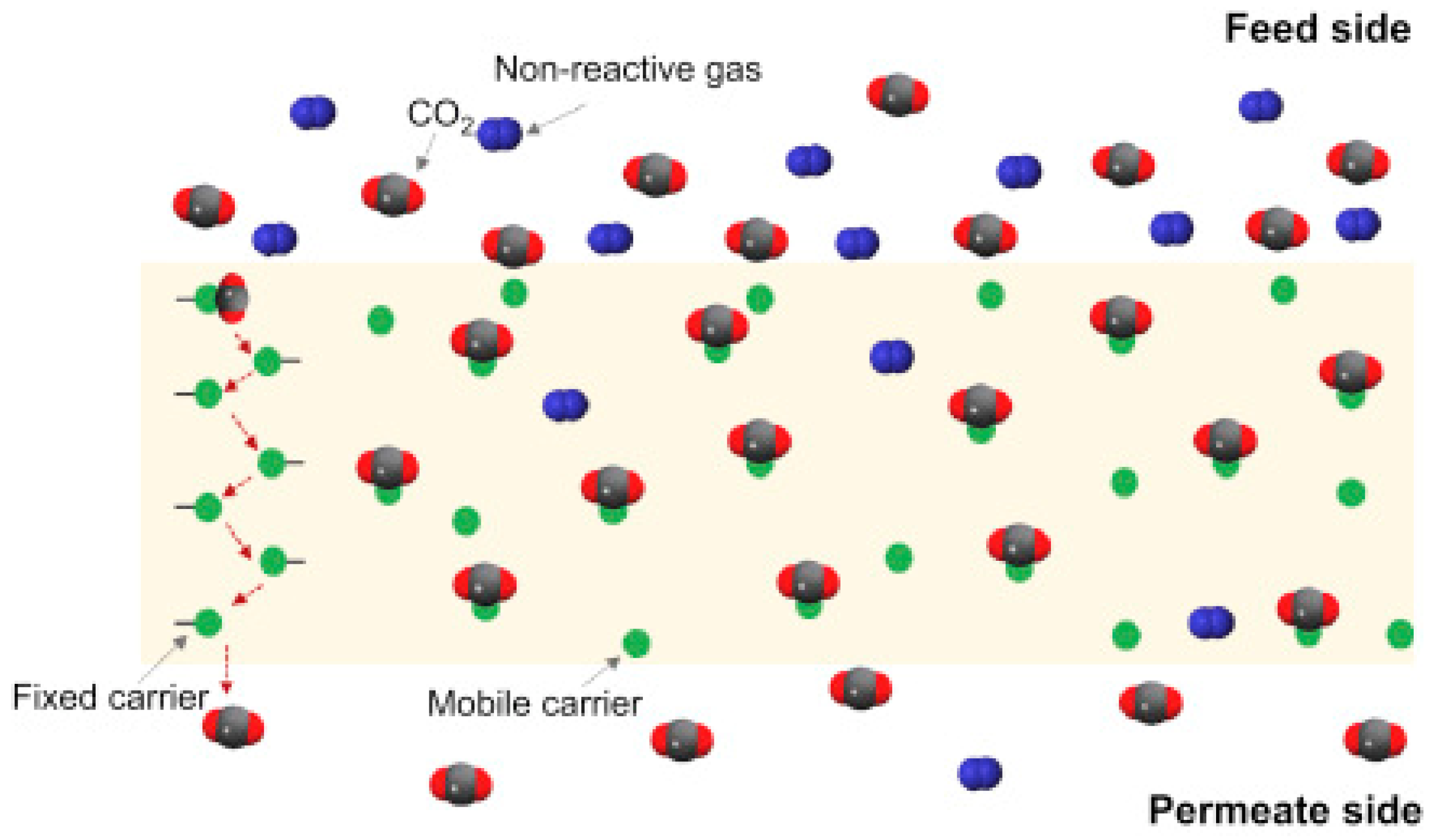 Polymers 15 00667 g001