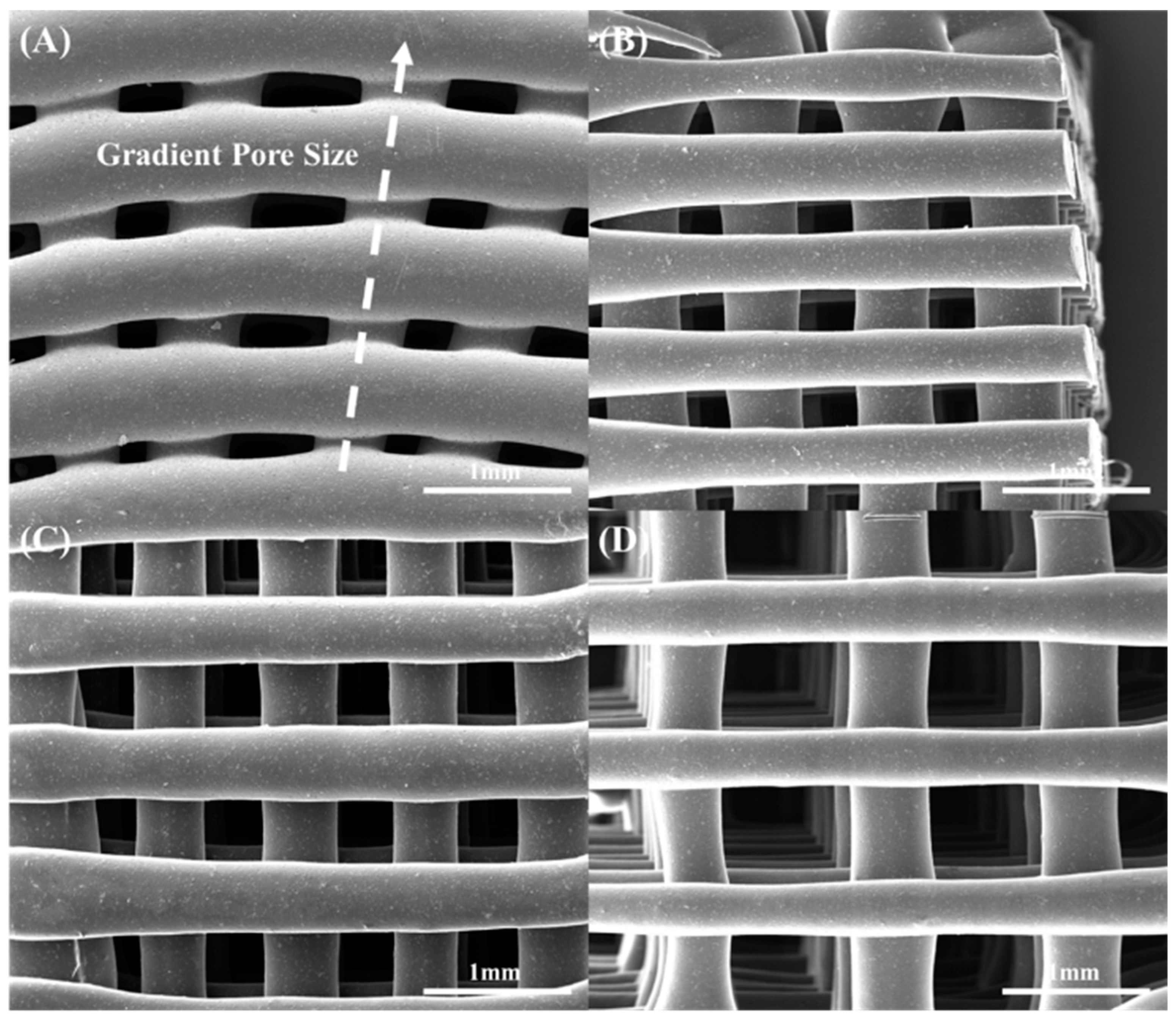 Polymers 15 00670 g001