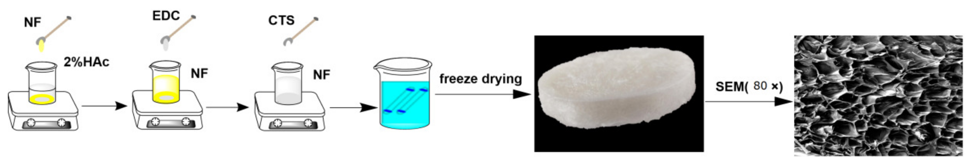 Polymers 15 00672 g001a