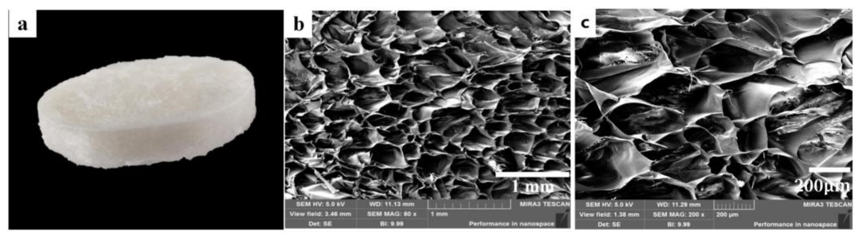 Polymers 15 00672 g003