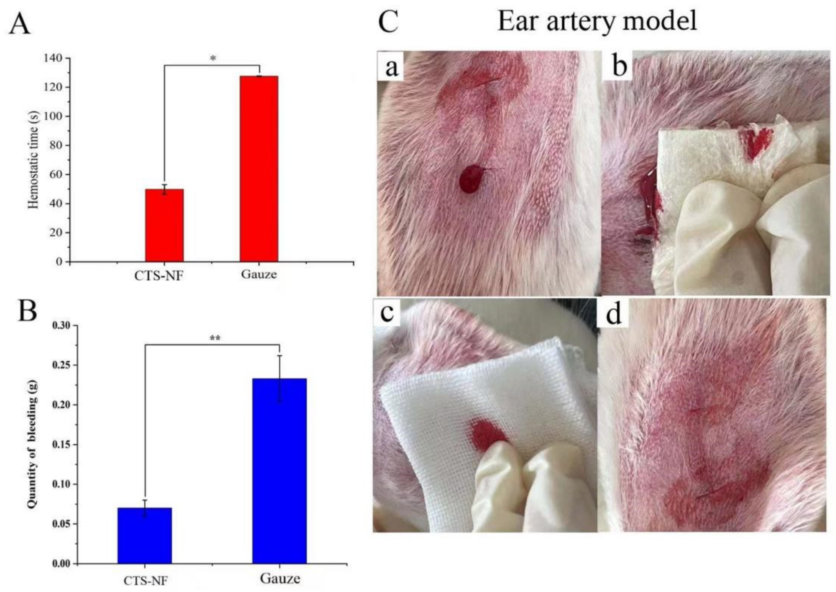 Polymers 15 00672 g010