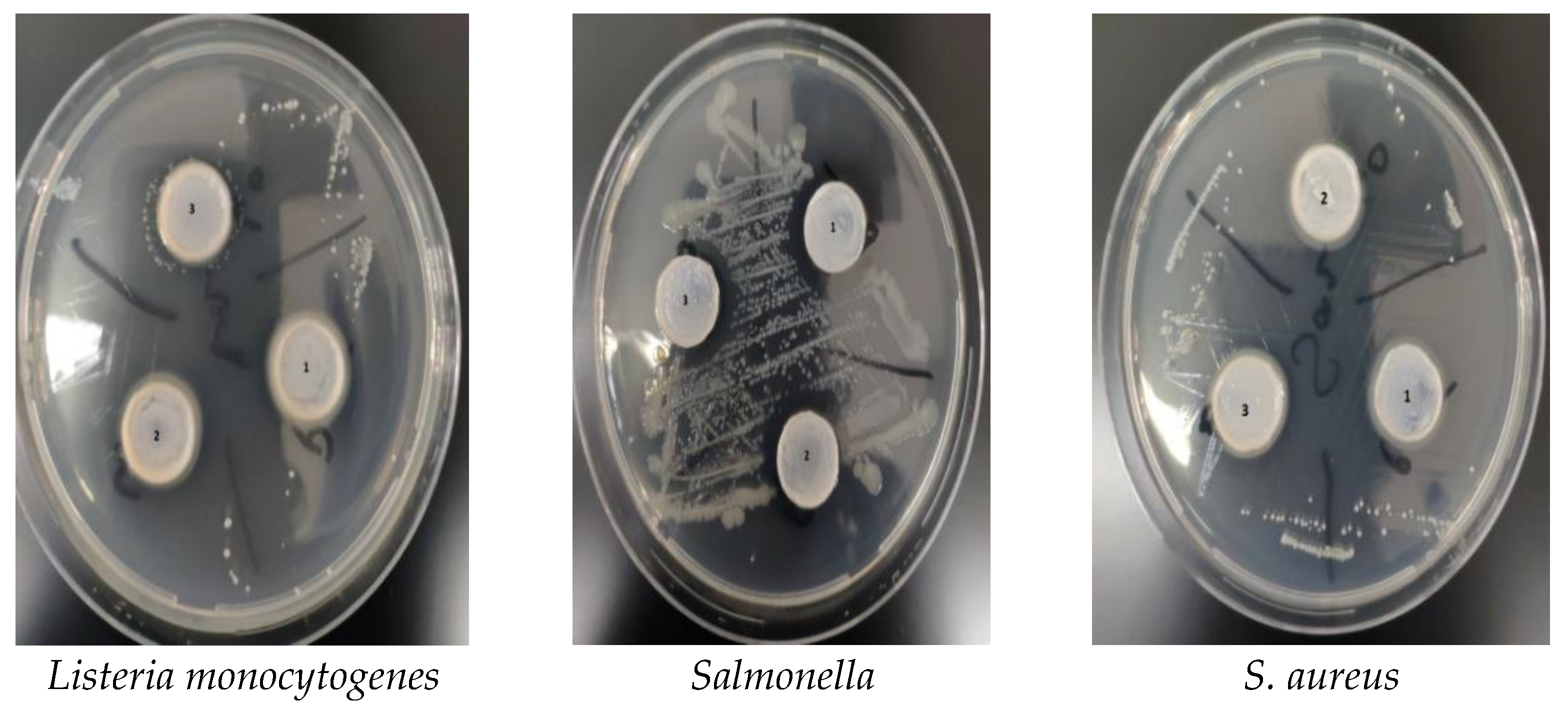 Polymers 15 00689 g003