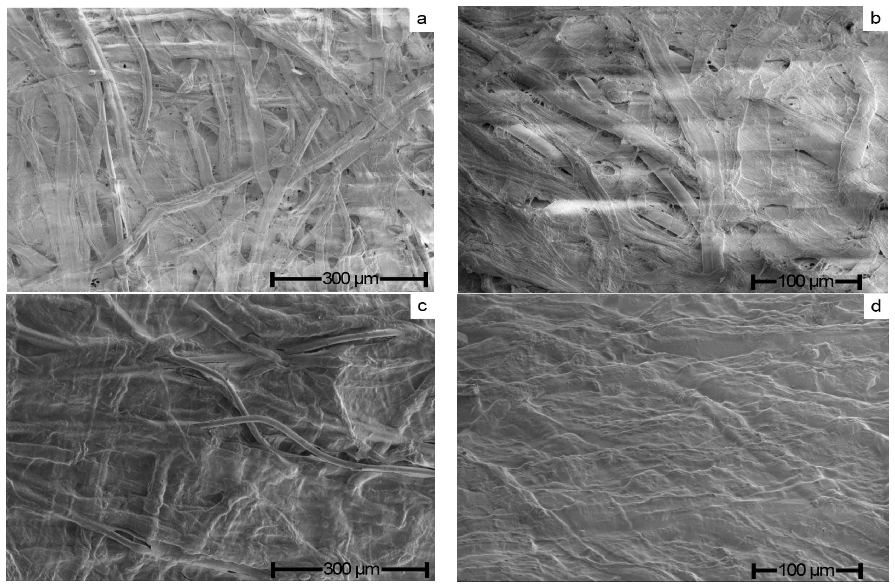 Polymers 15 00692 g004
