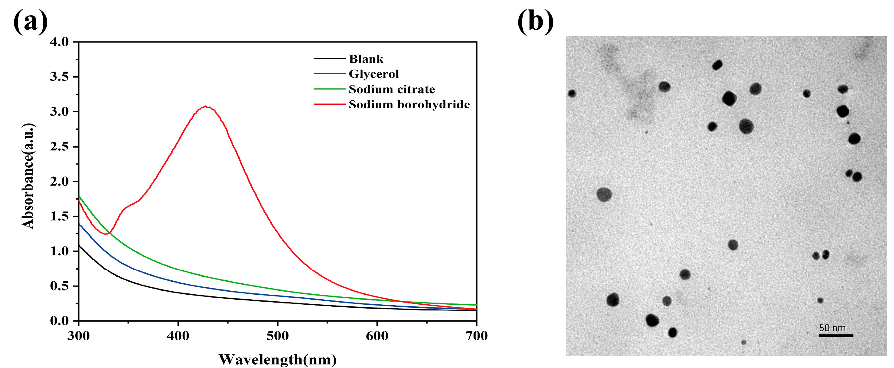 Polymers 15 00695 g001