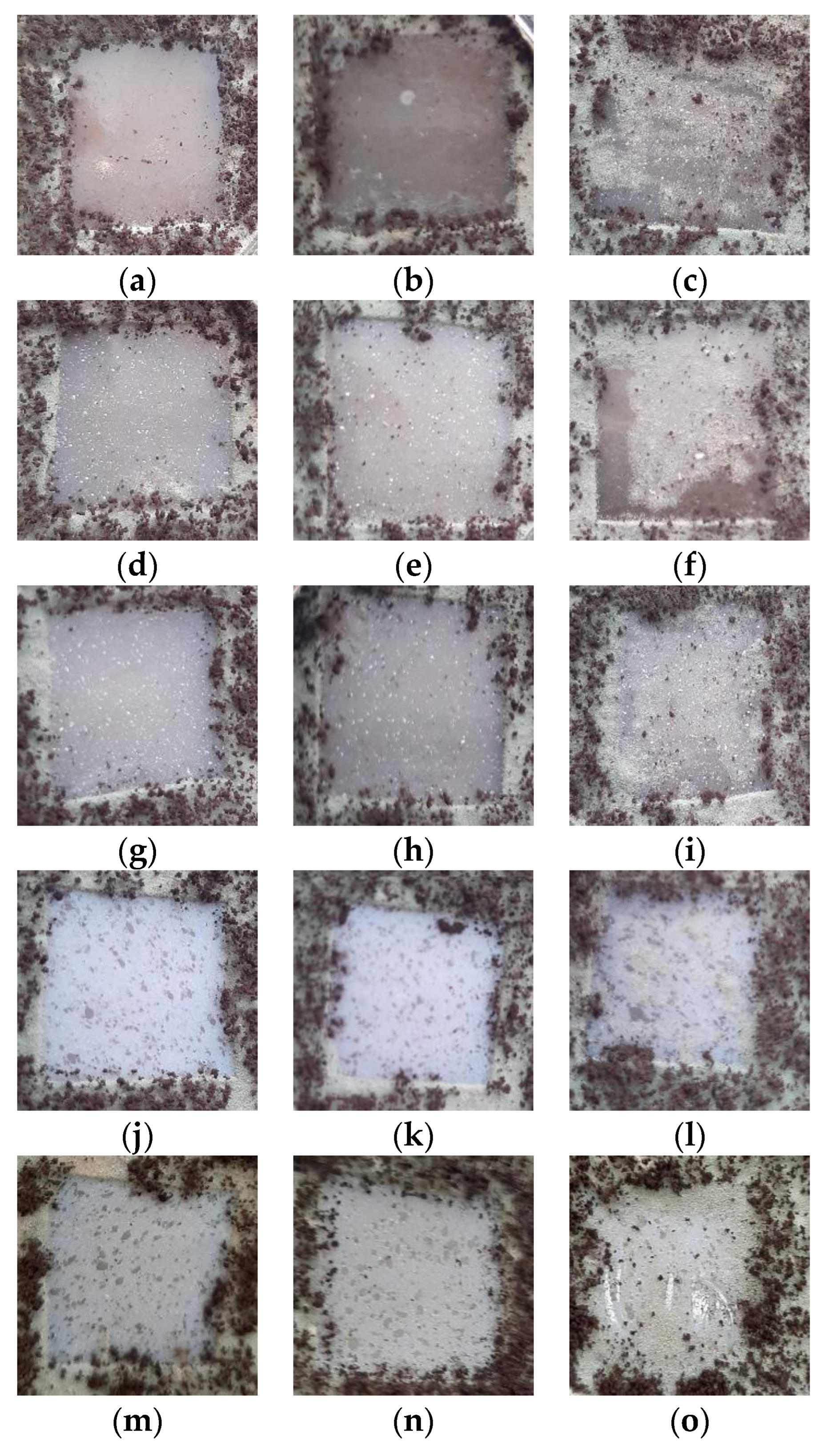 Polymers 15 00696 g013