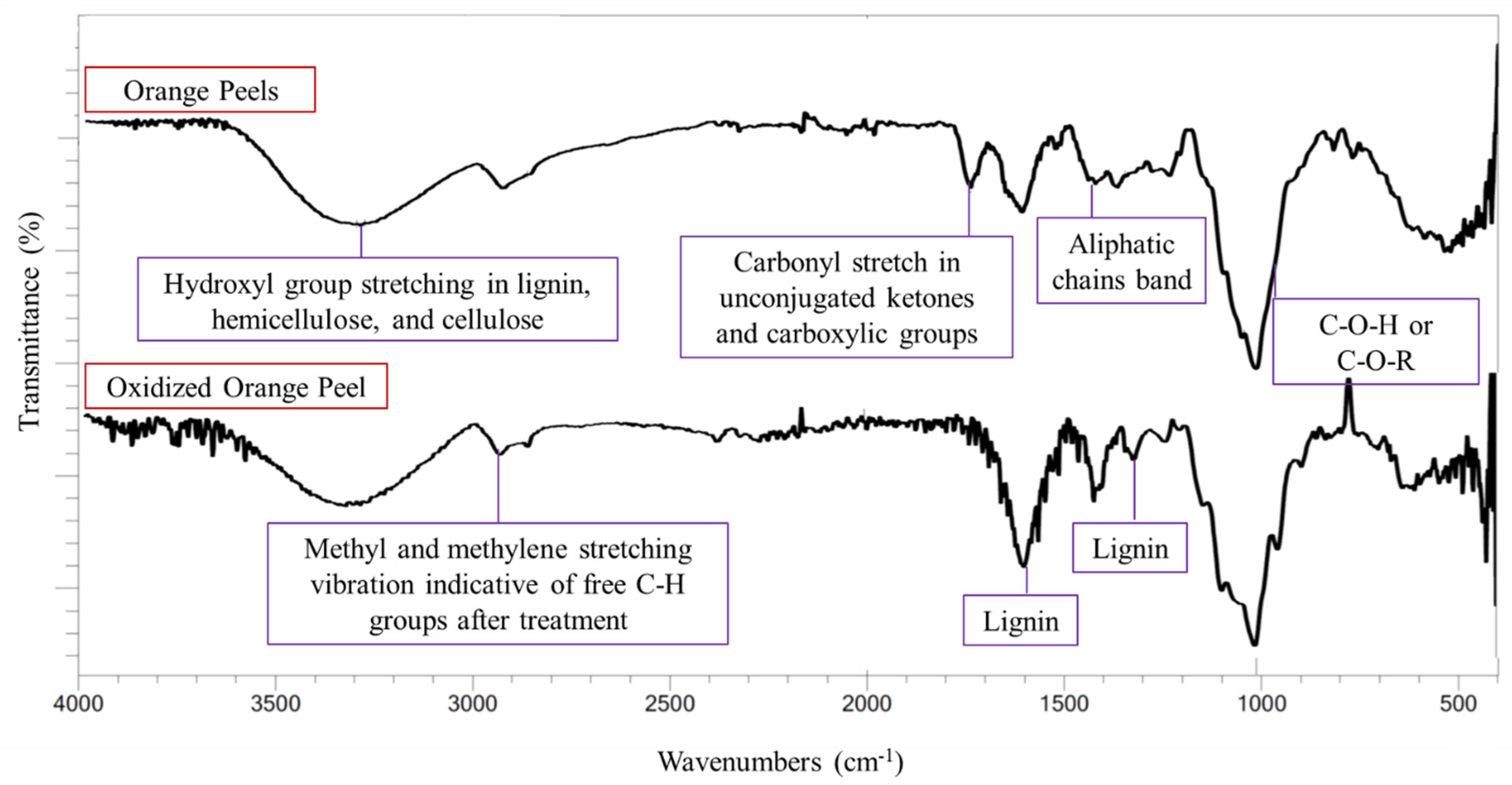 Polymers 15 00697 g003