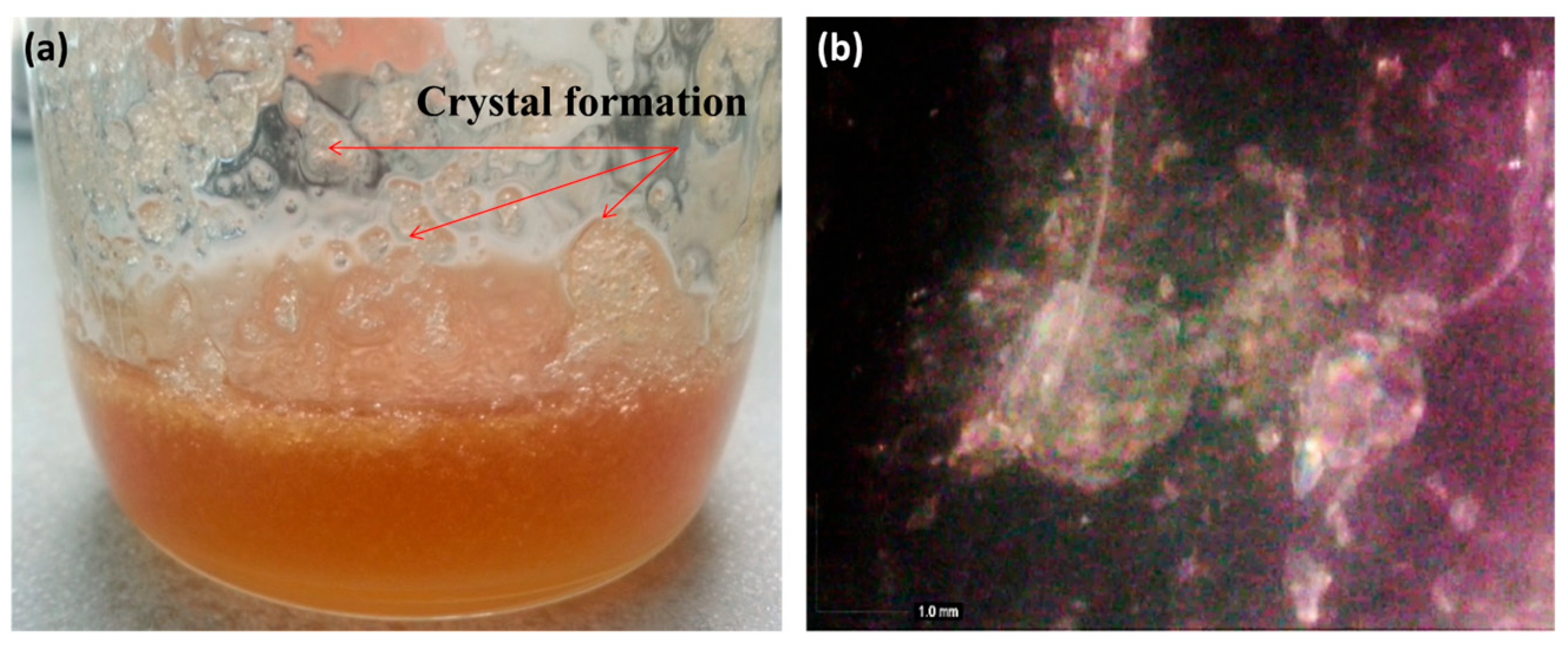 Polymers 15 00698 g005