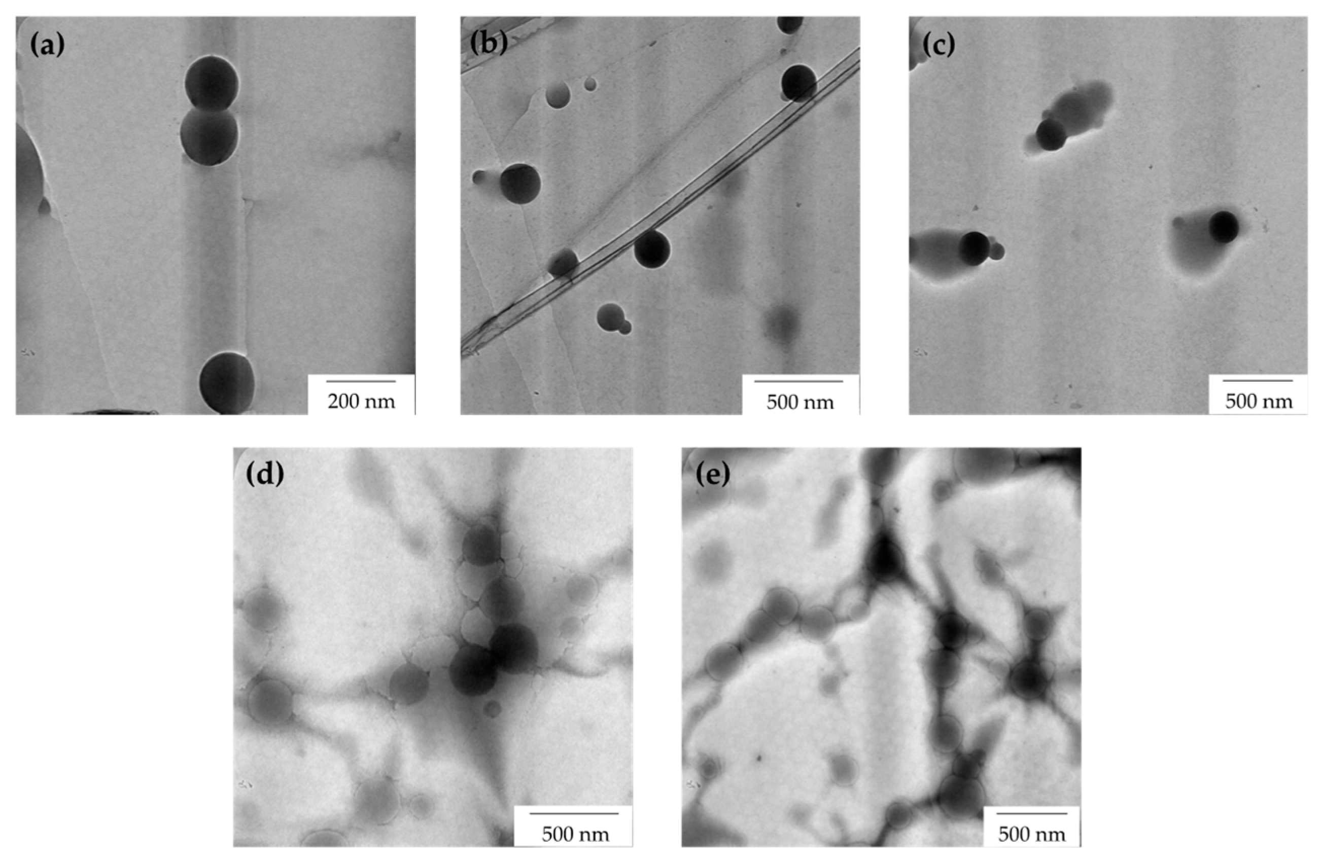 Polymers 15 00698 g007