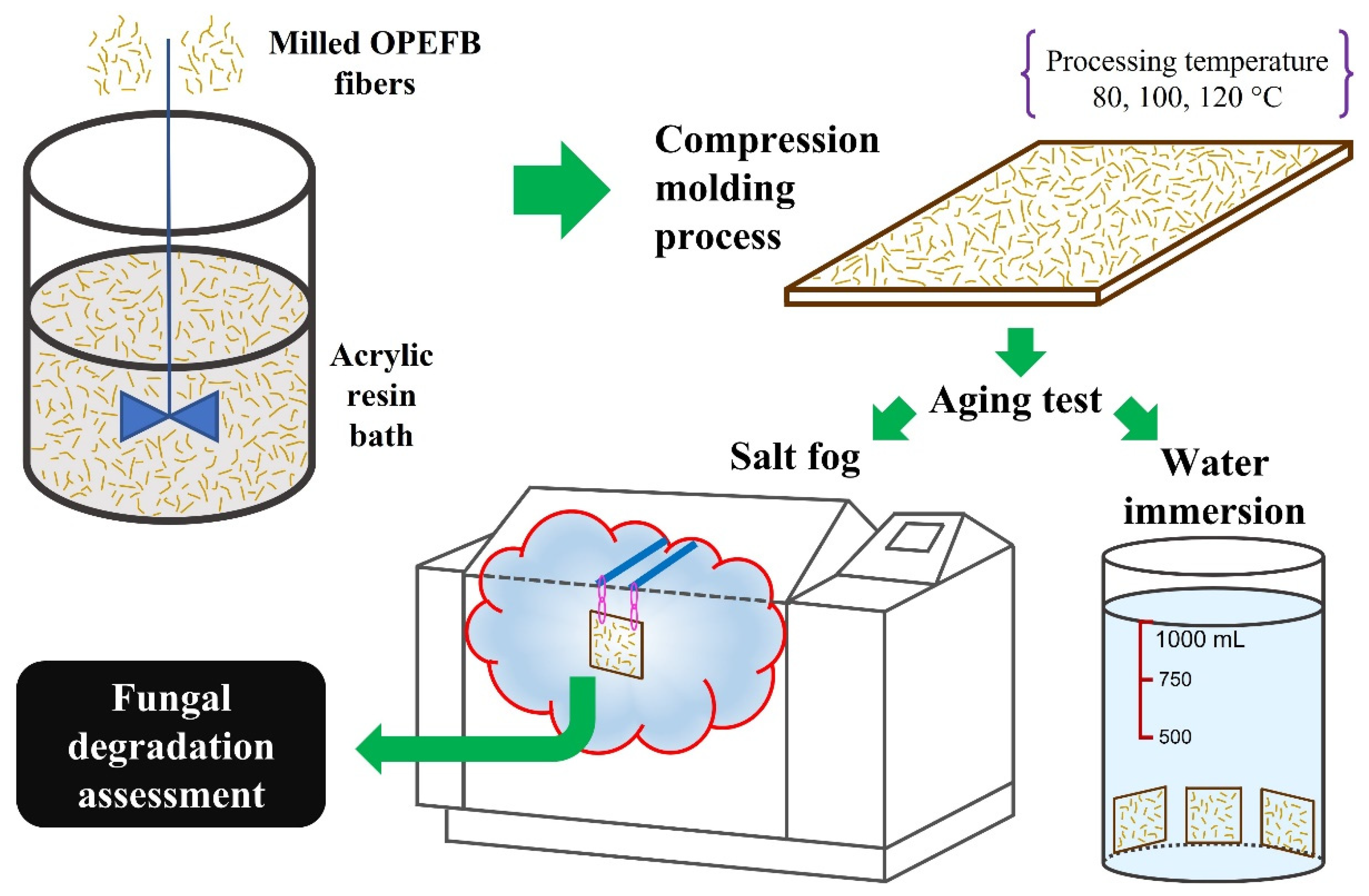 Polymers 15 00704 g002