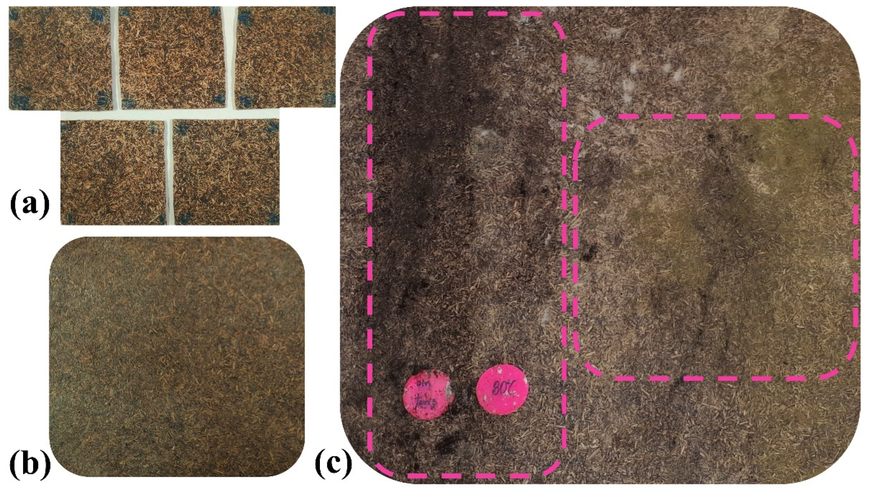 Polymers 15 00704 g003