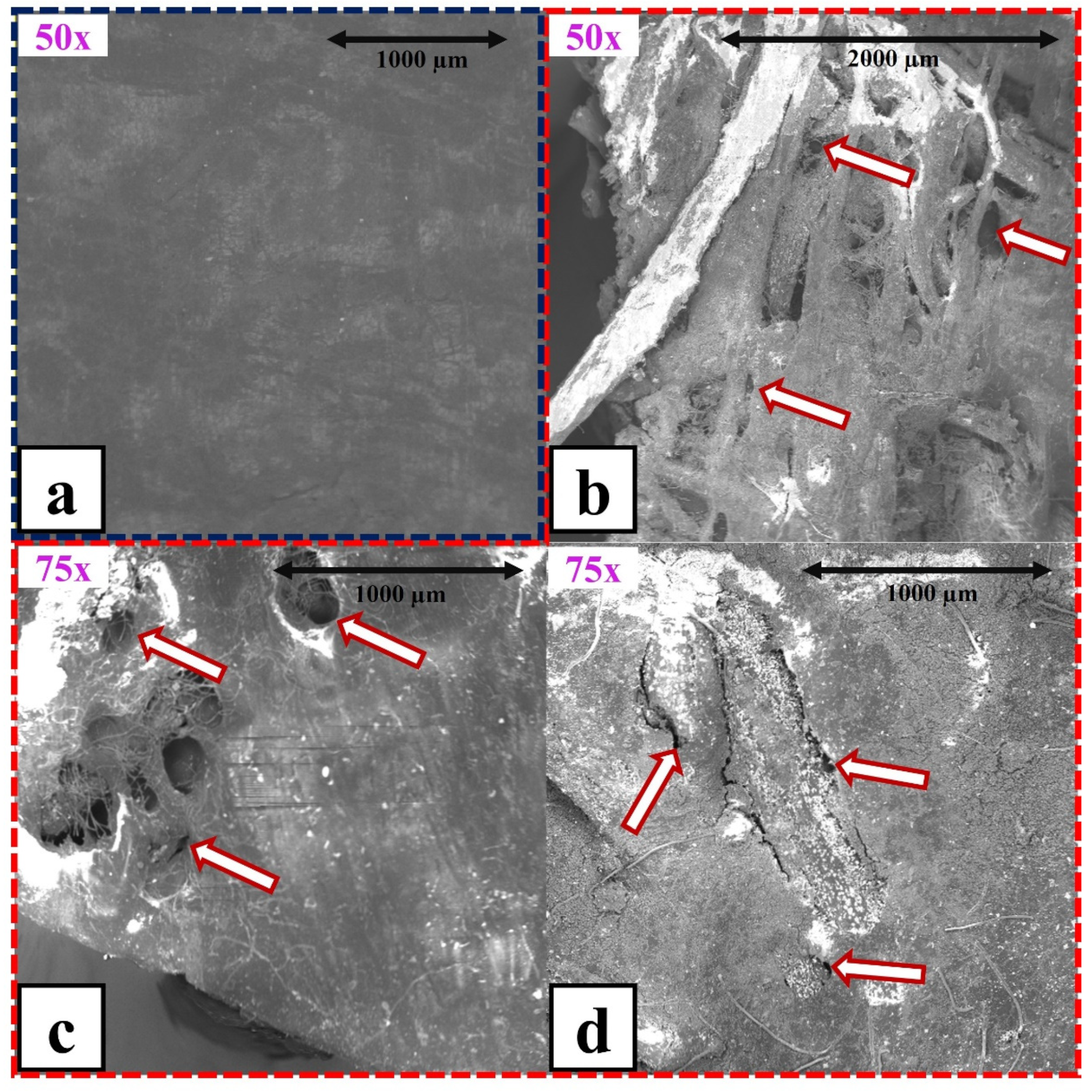 Polymers 15 00704 g009