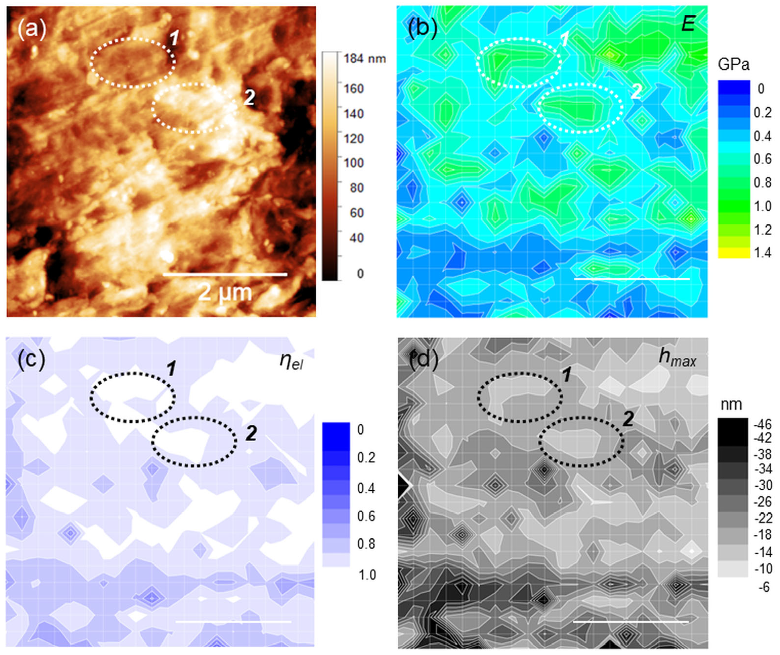 Polymers 15 00718 g003