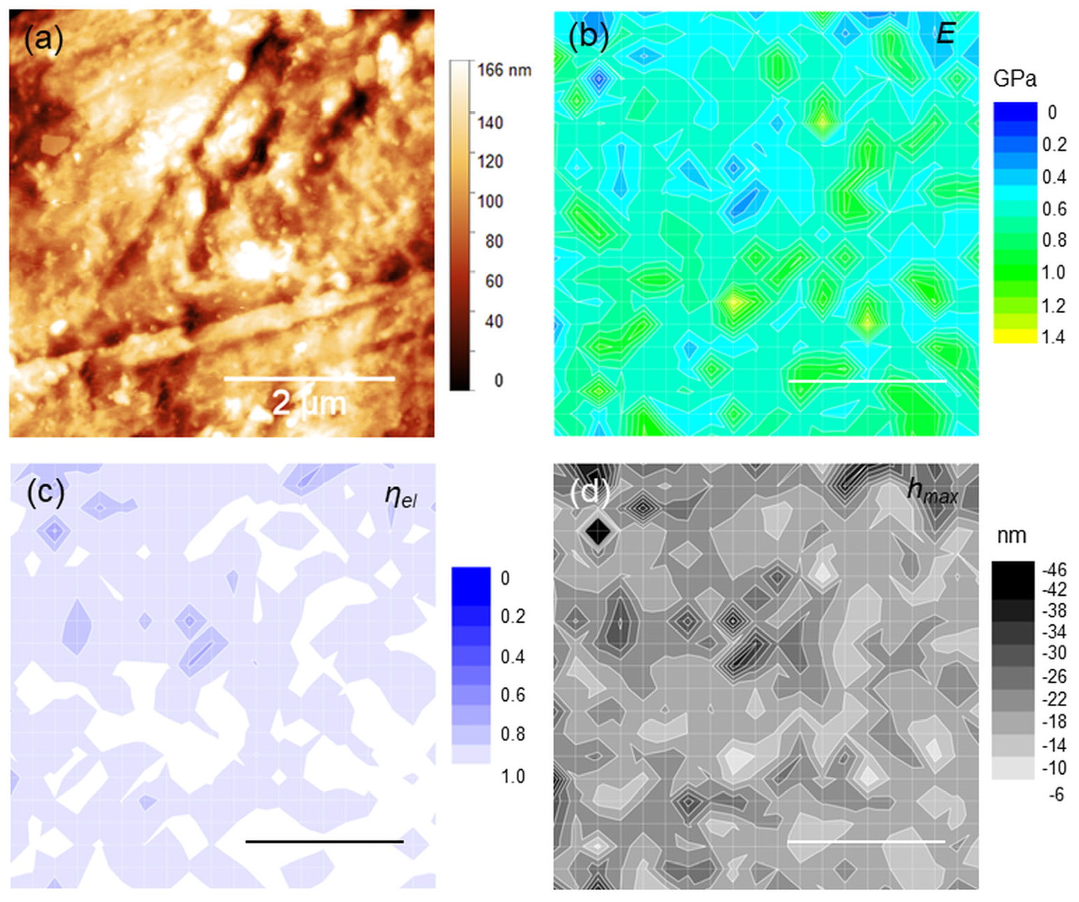 Polymers 15 00718 g004