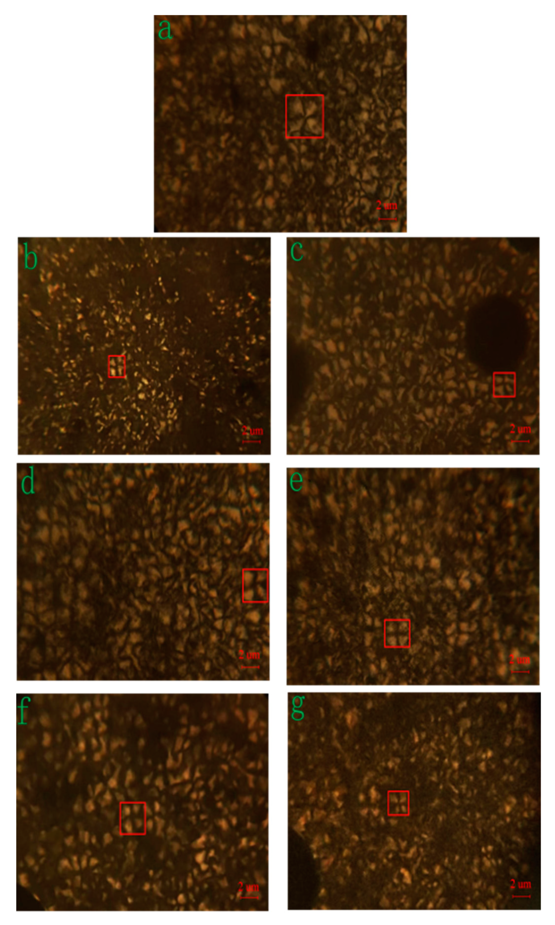 Polymers 15 00719 g006
