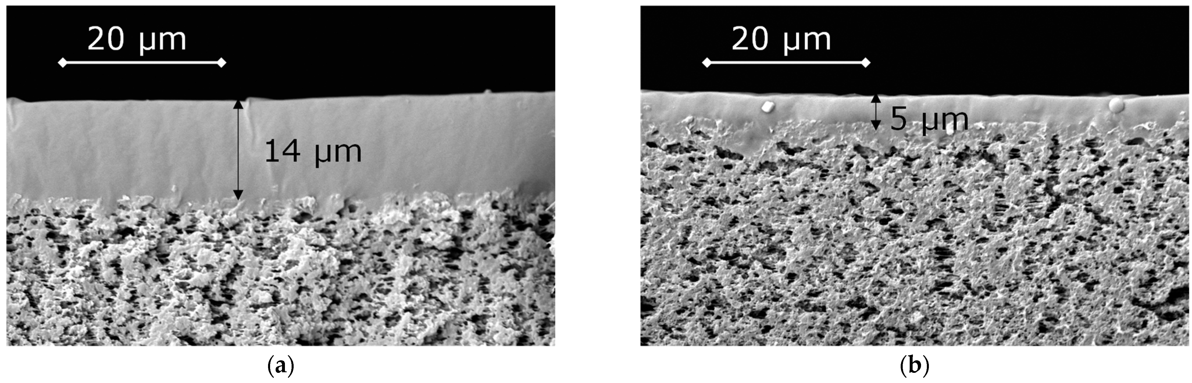 Polymers 15 00723 g007