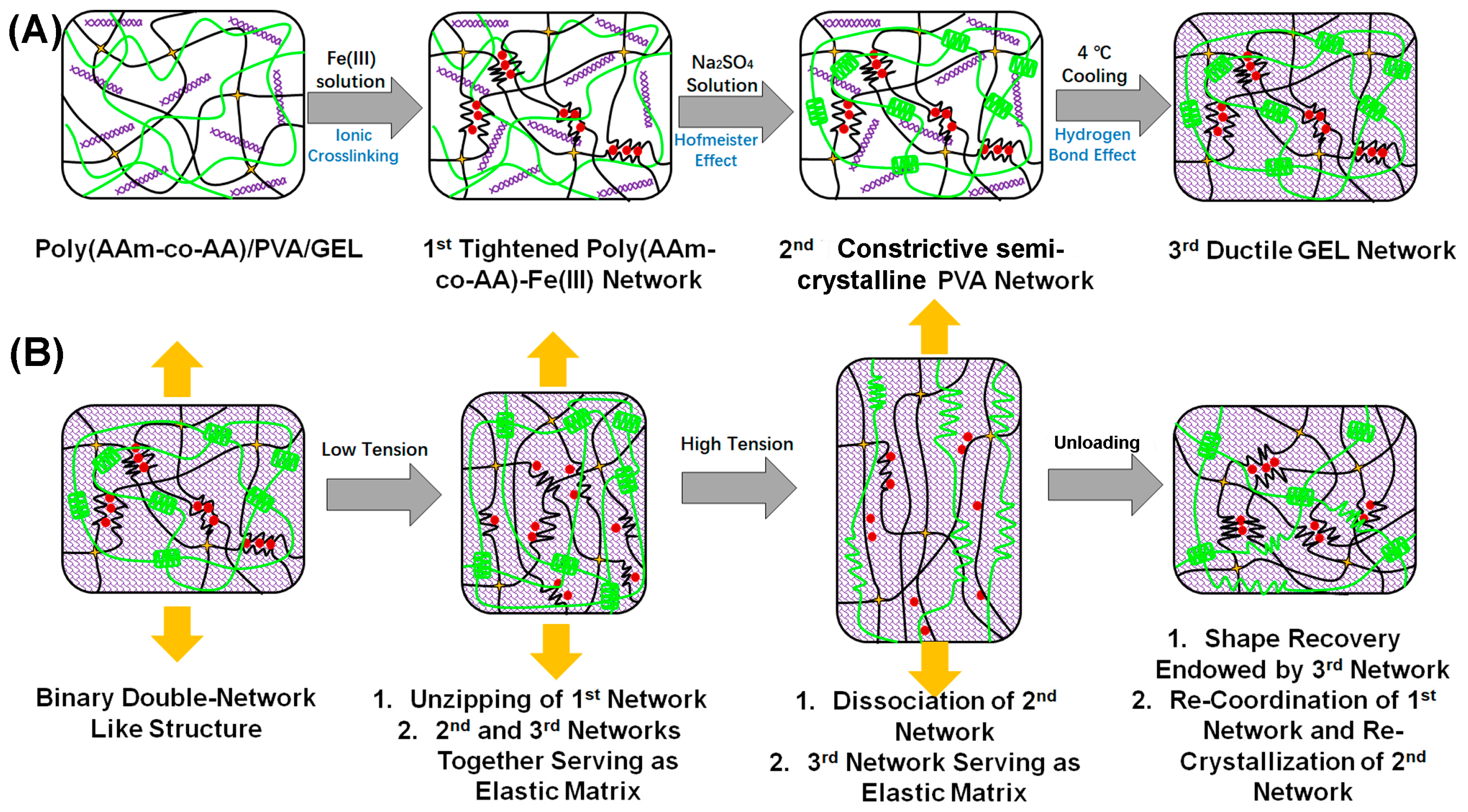 Polymers 15 00724 g001