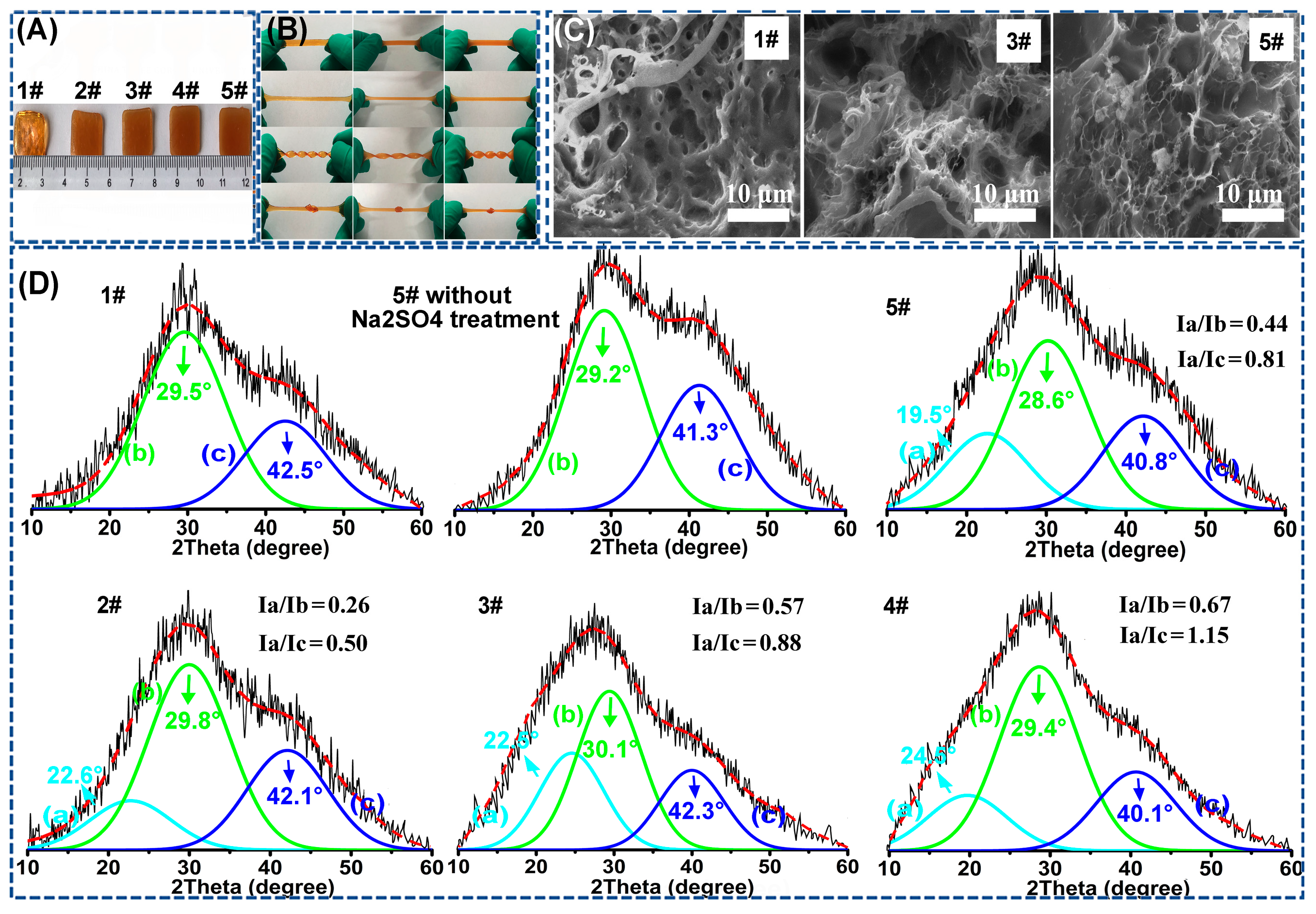 Polymers 15 00724 g002