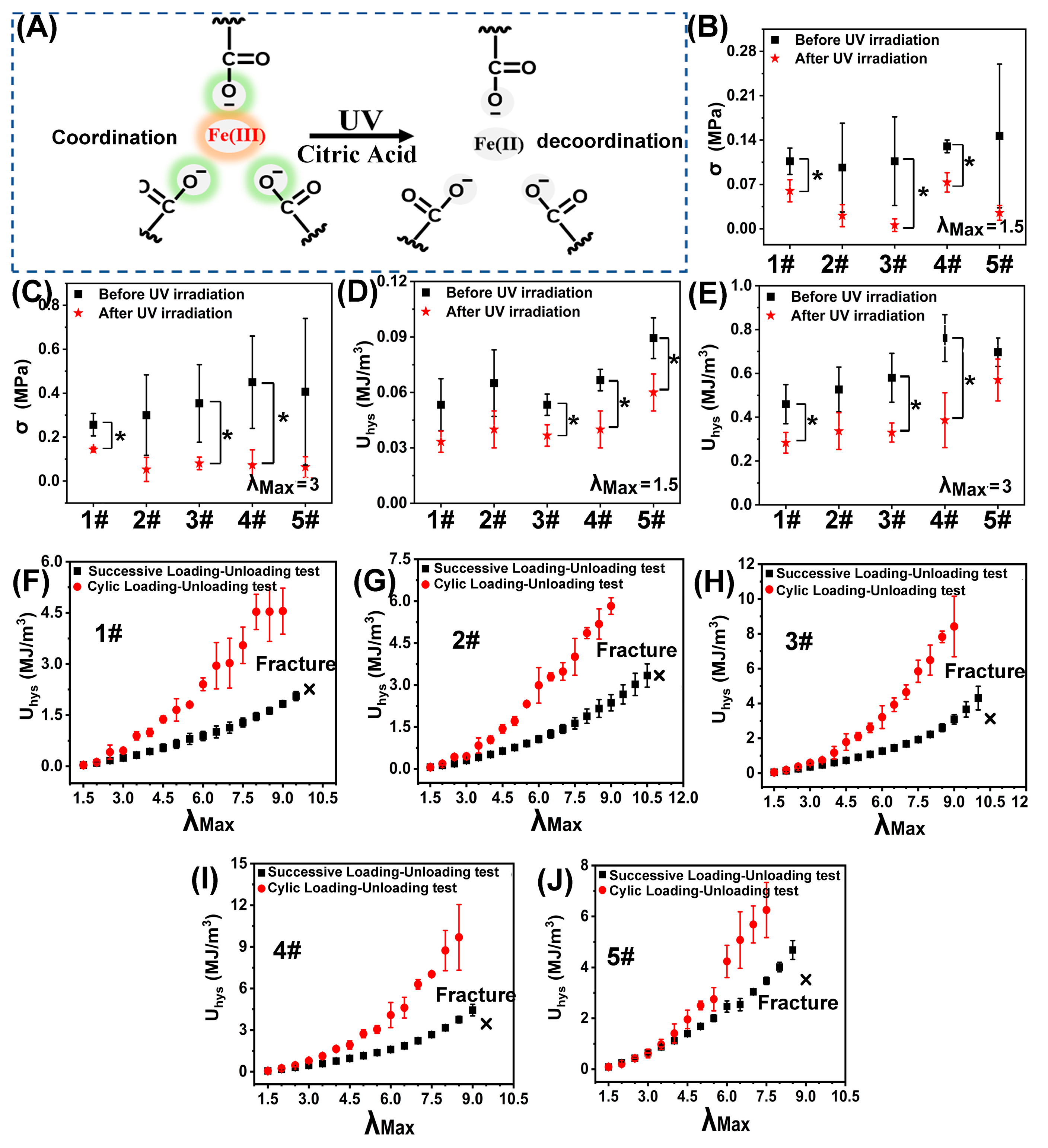 Polymers 15 00724 g003