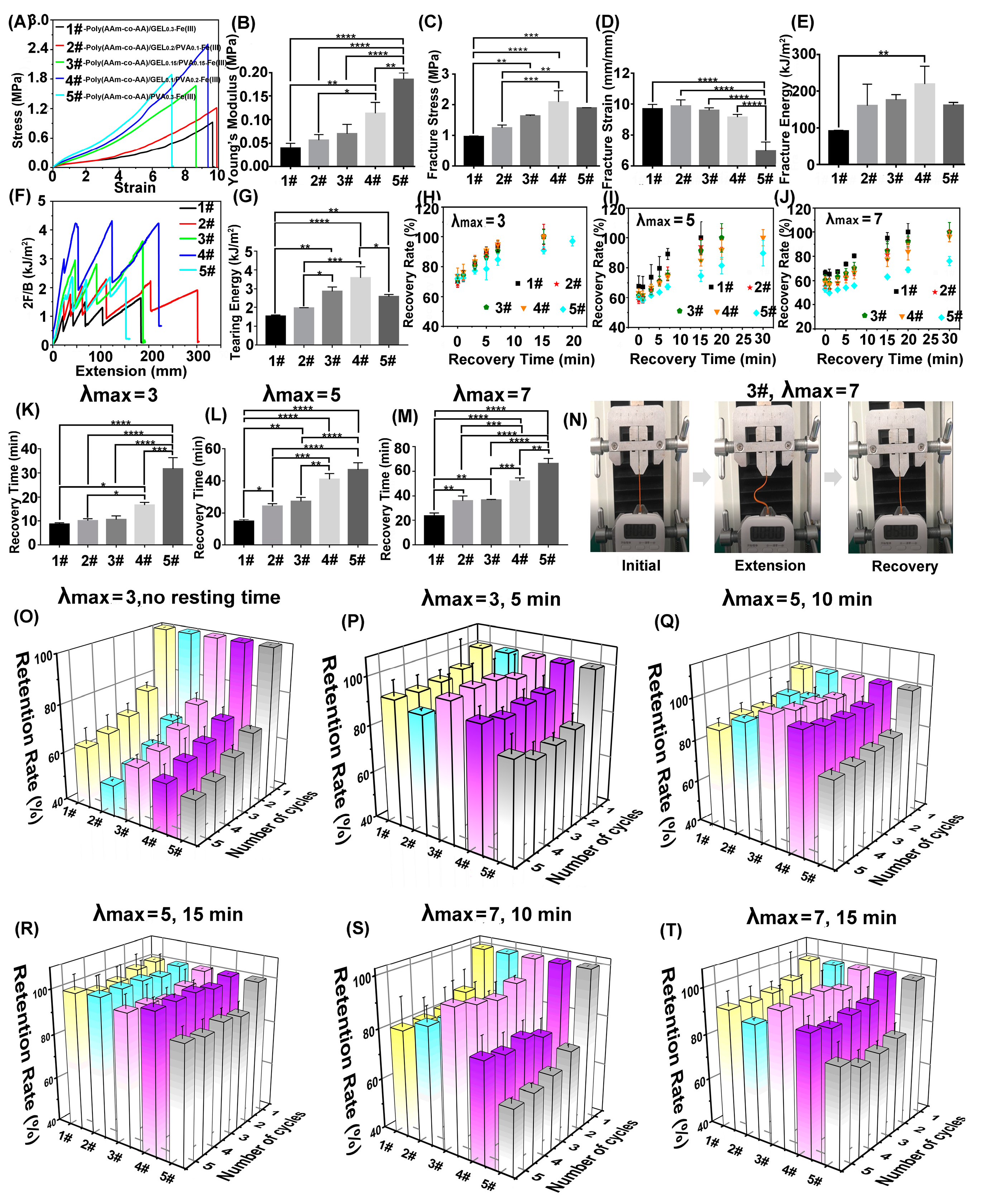 Polymers 15 00724 g004