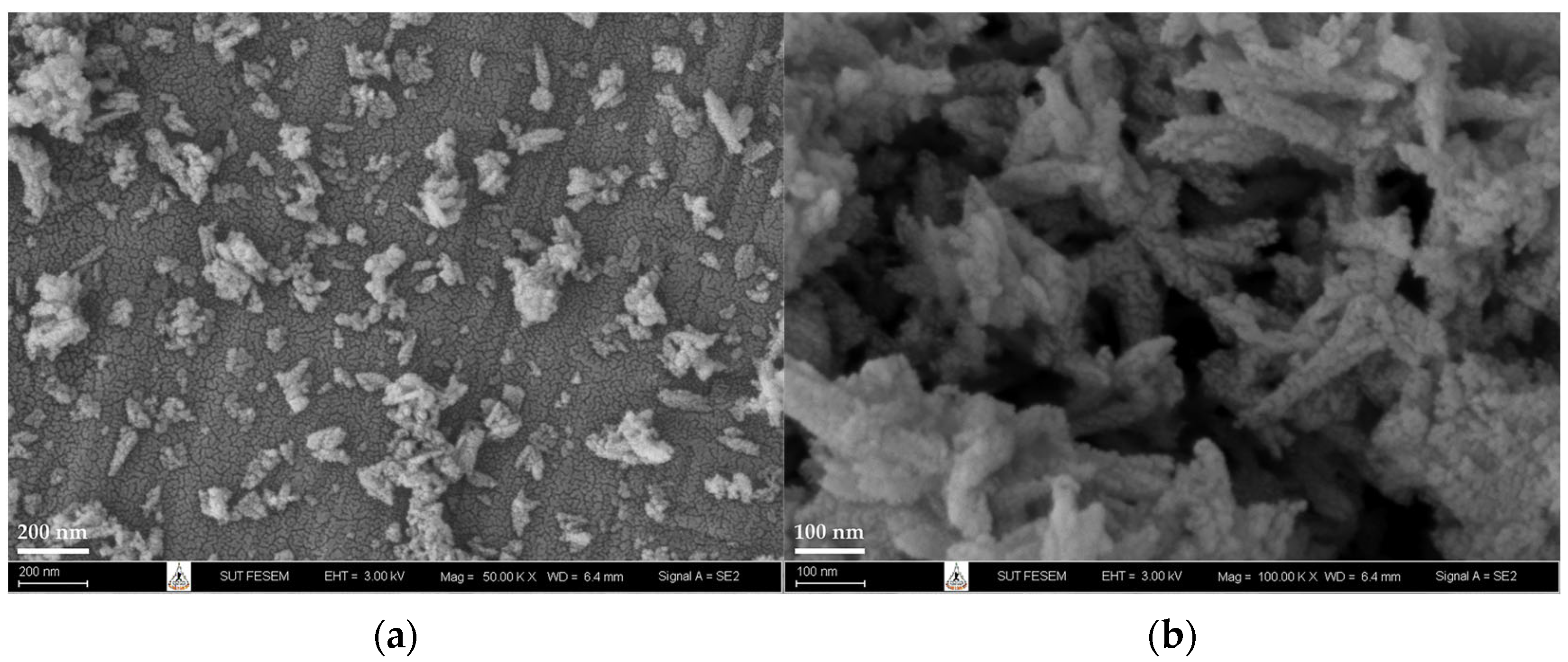 Polymers 15 00729 g005 Polymers 15 00729 g005