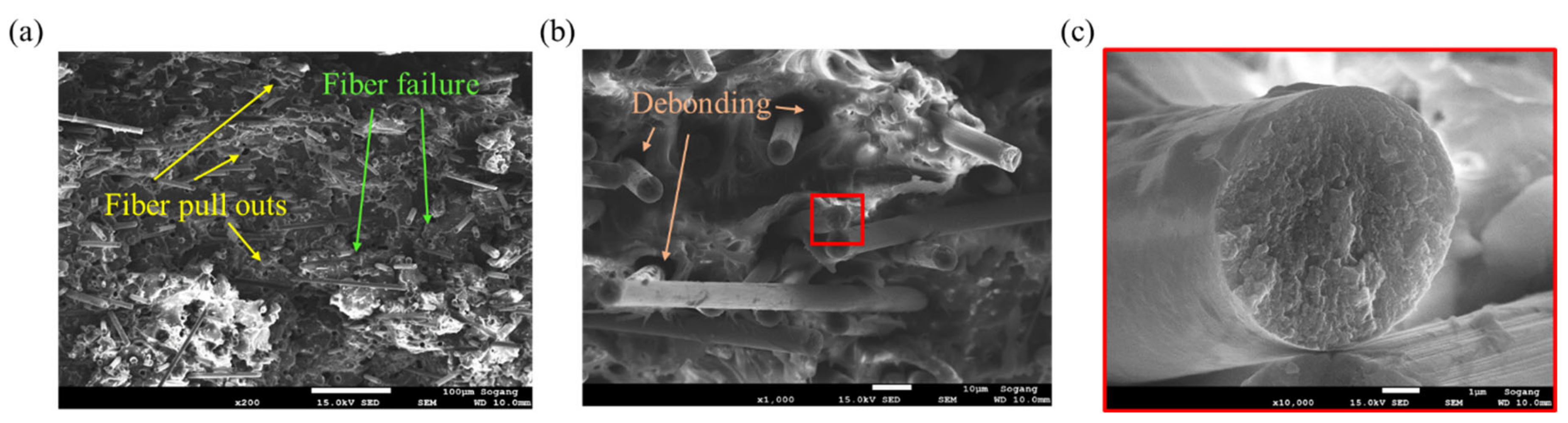 Polymers 15 00738 g010