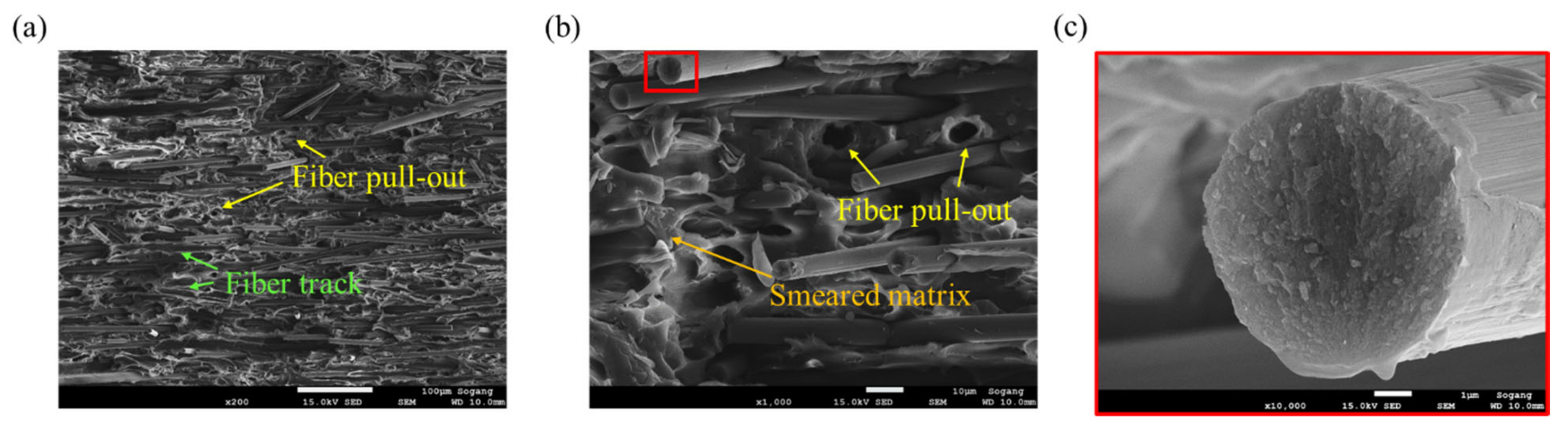 Polymers 15 00738 g012