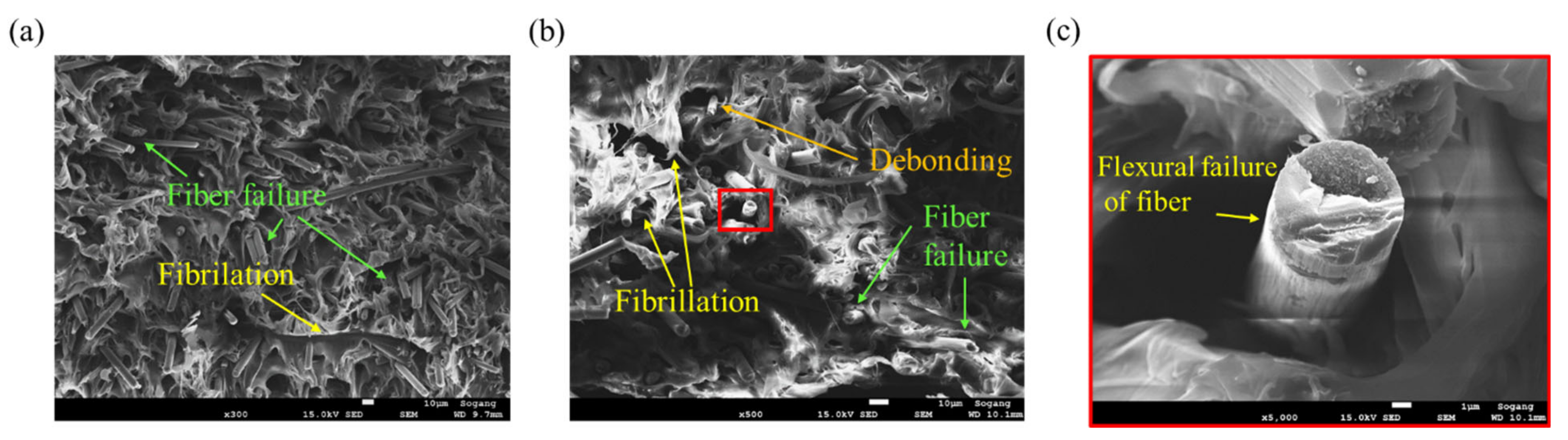 Polymers 15 00738 g014