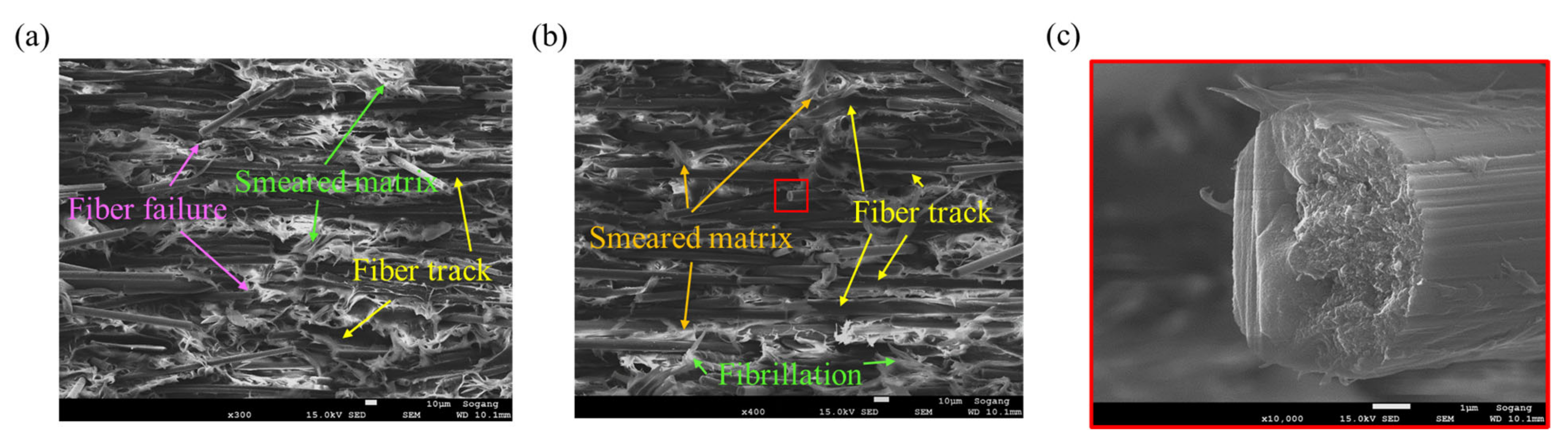 Polymers 15 00738 g015