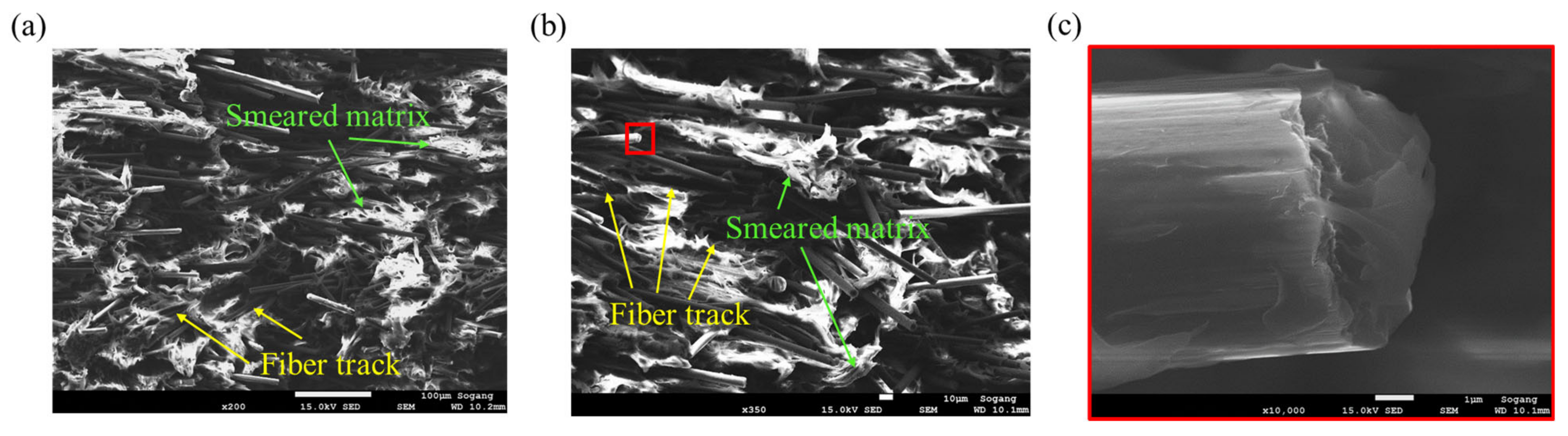 Polymers 15 00738 g016