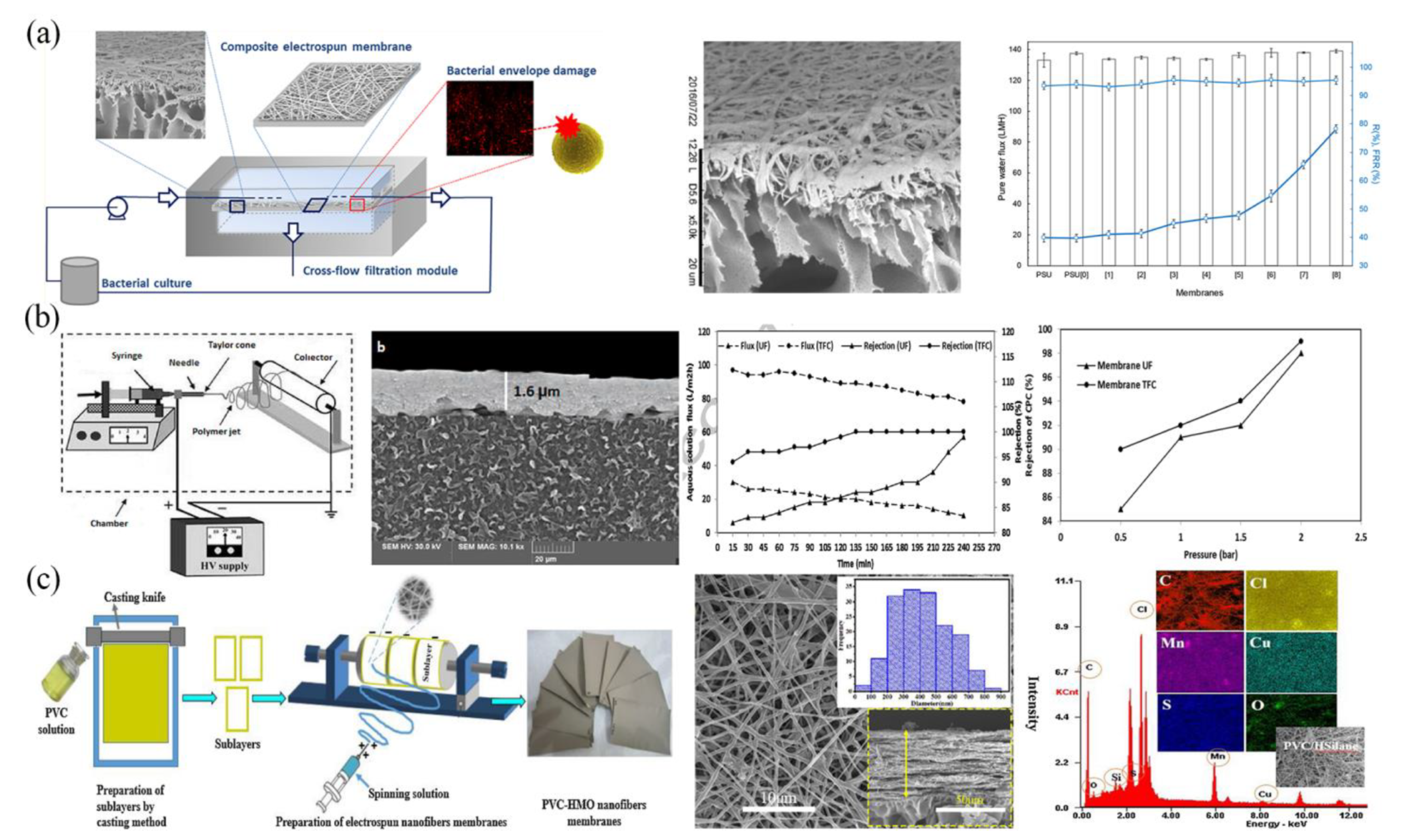 Polymers 15 00741 g004