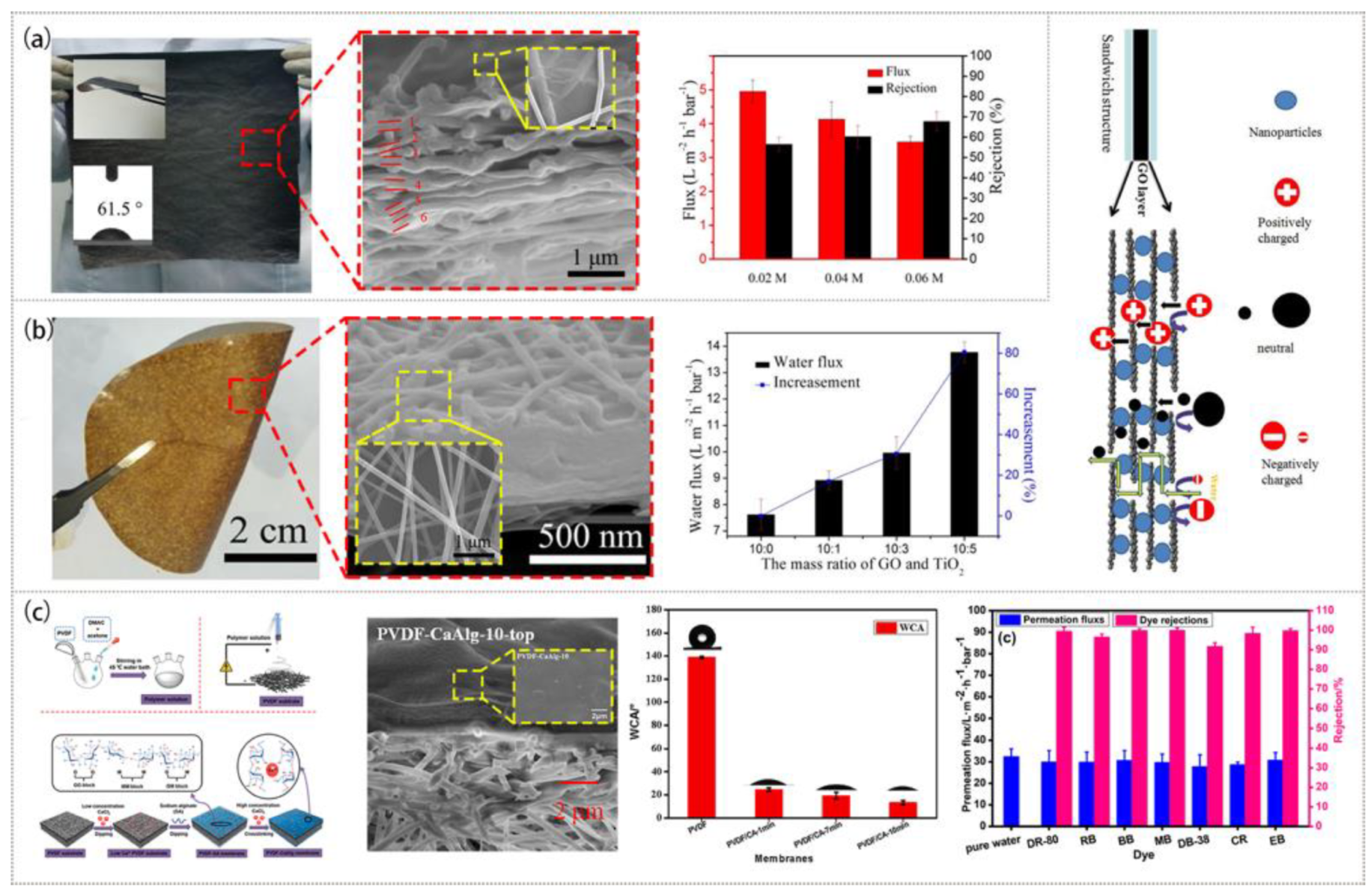 Polymers 15 00741 g005