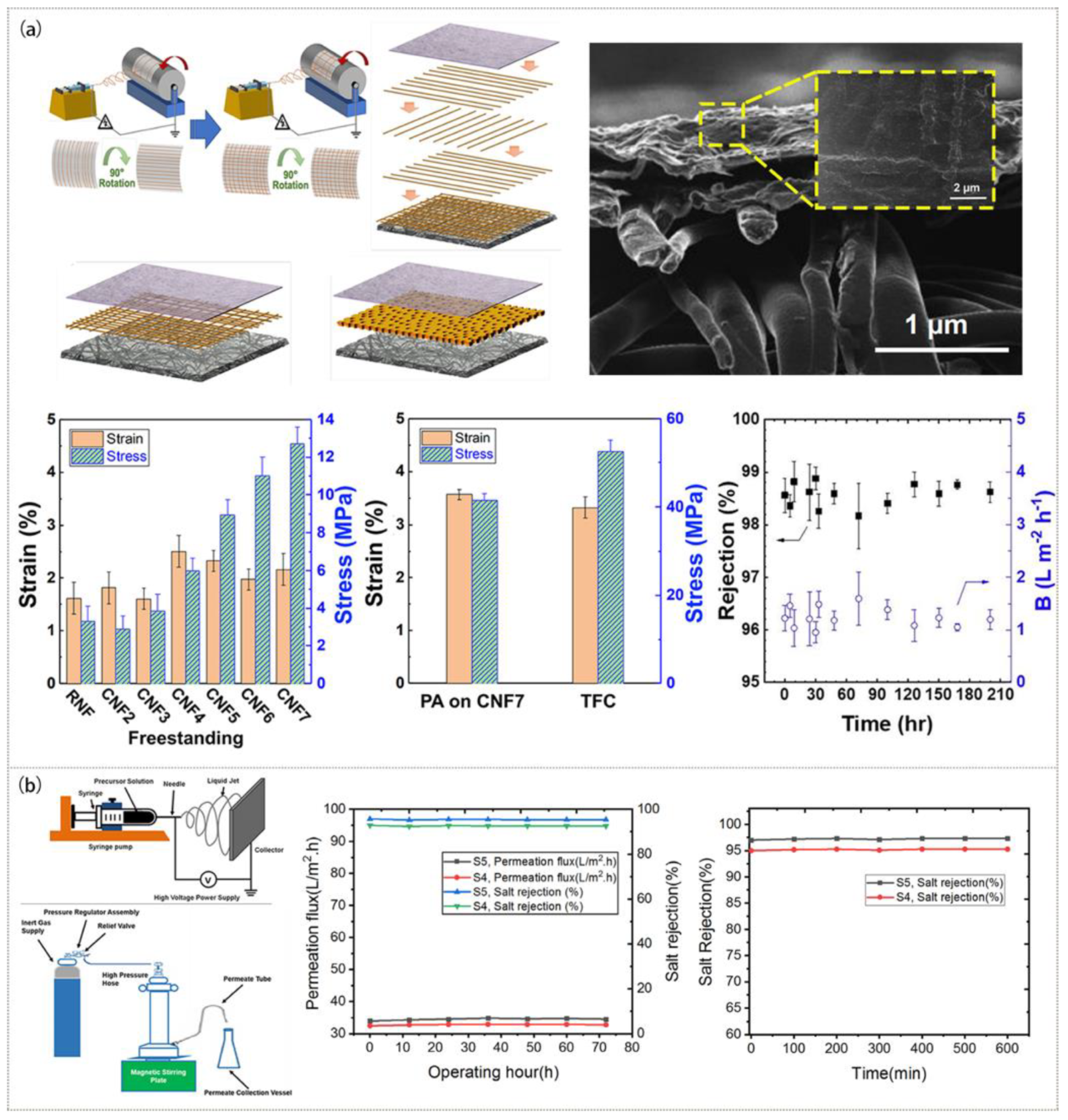 Polymers 15 00741 g006