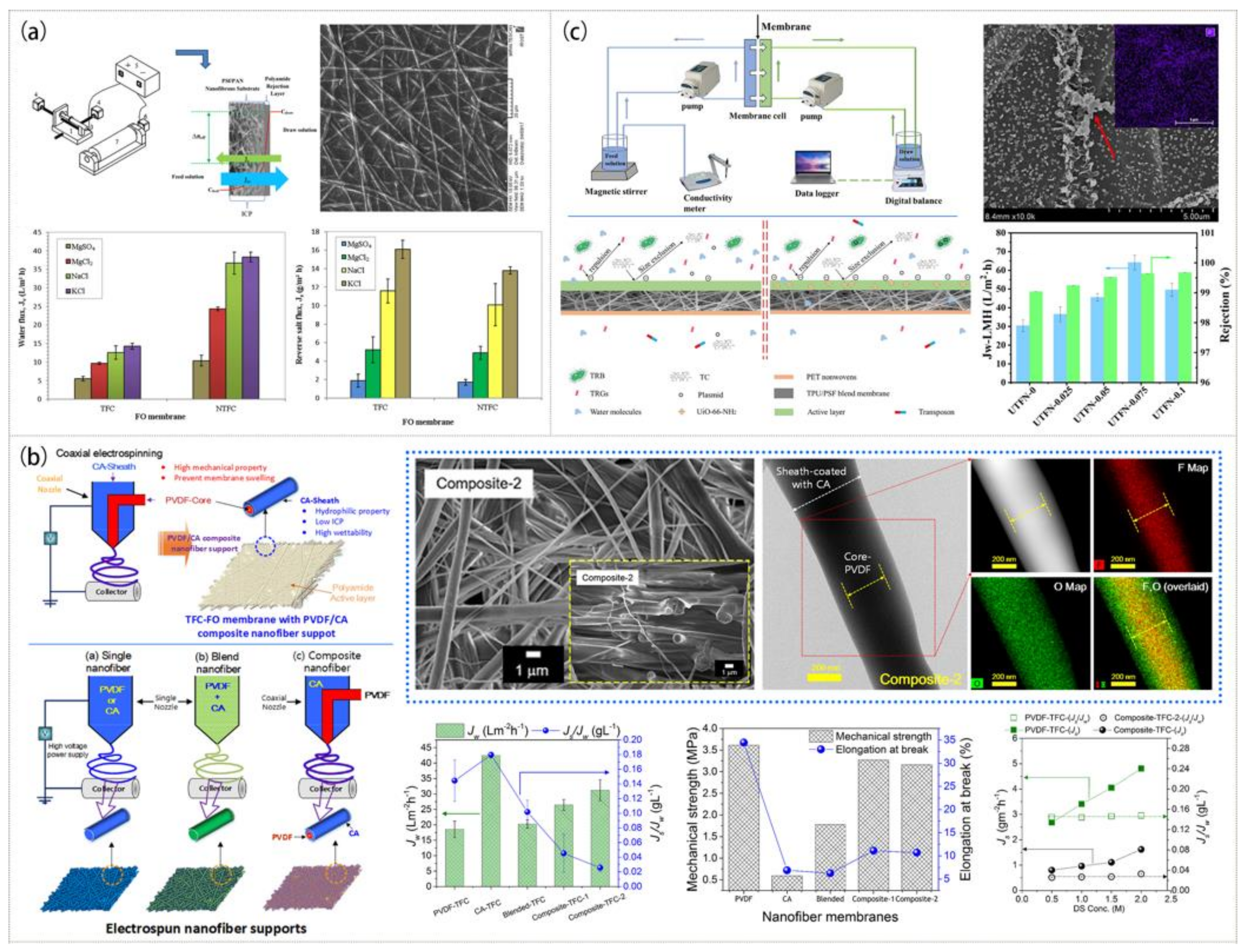 Polymers 15 00741 g007