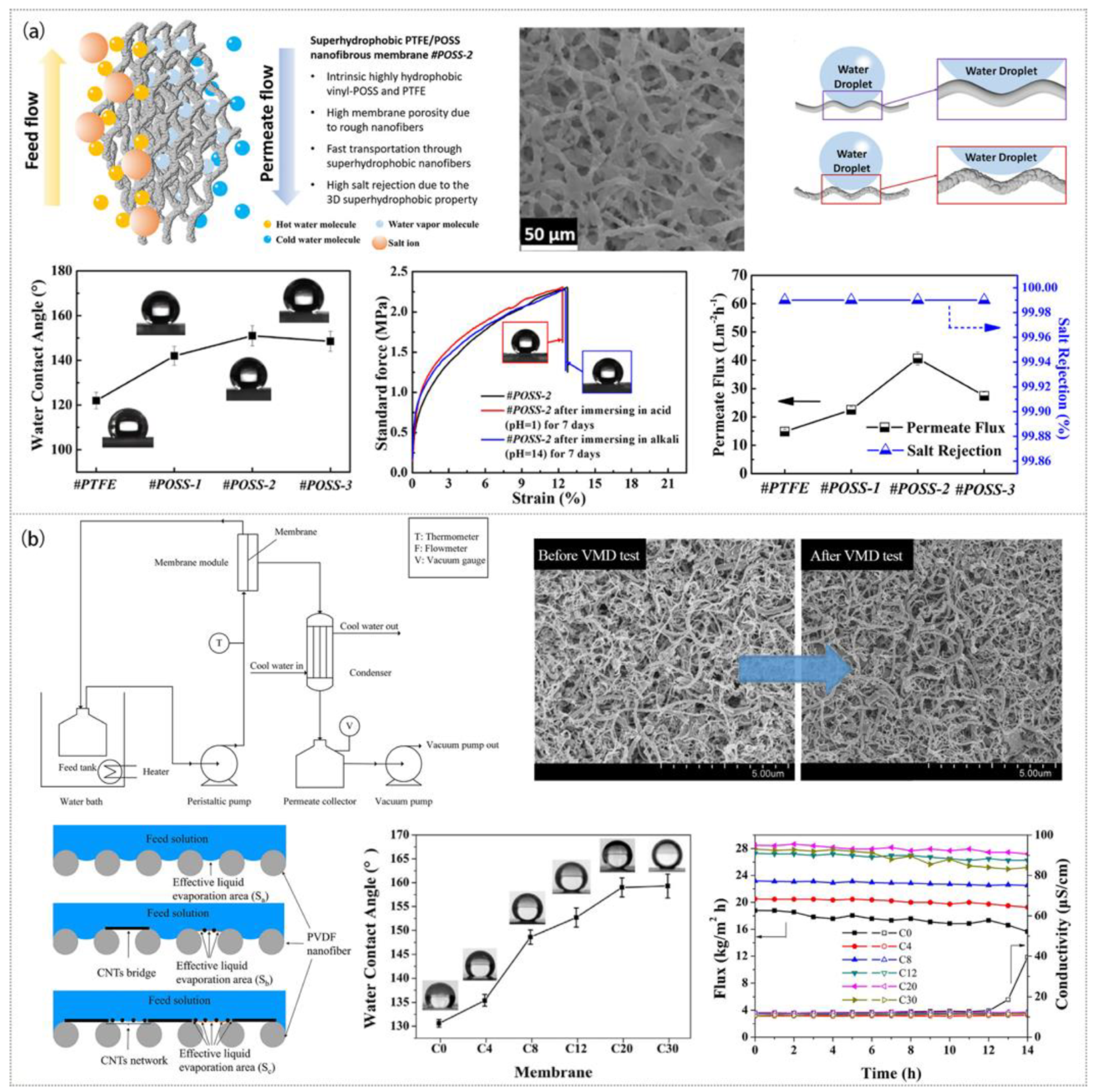 Polymers 15 00741 g008