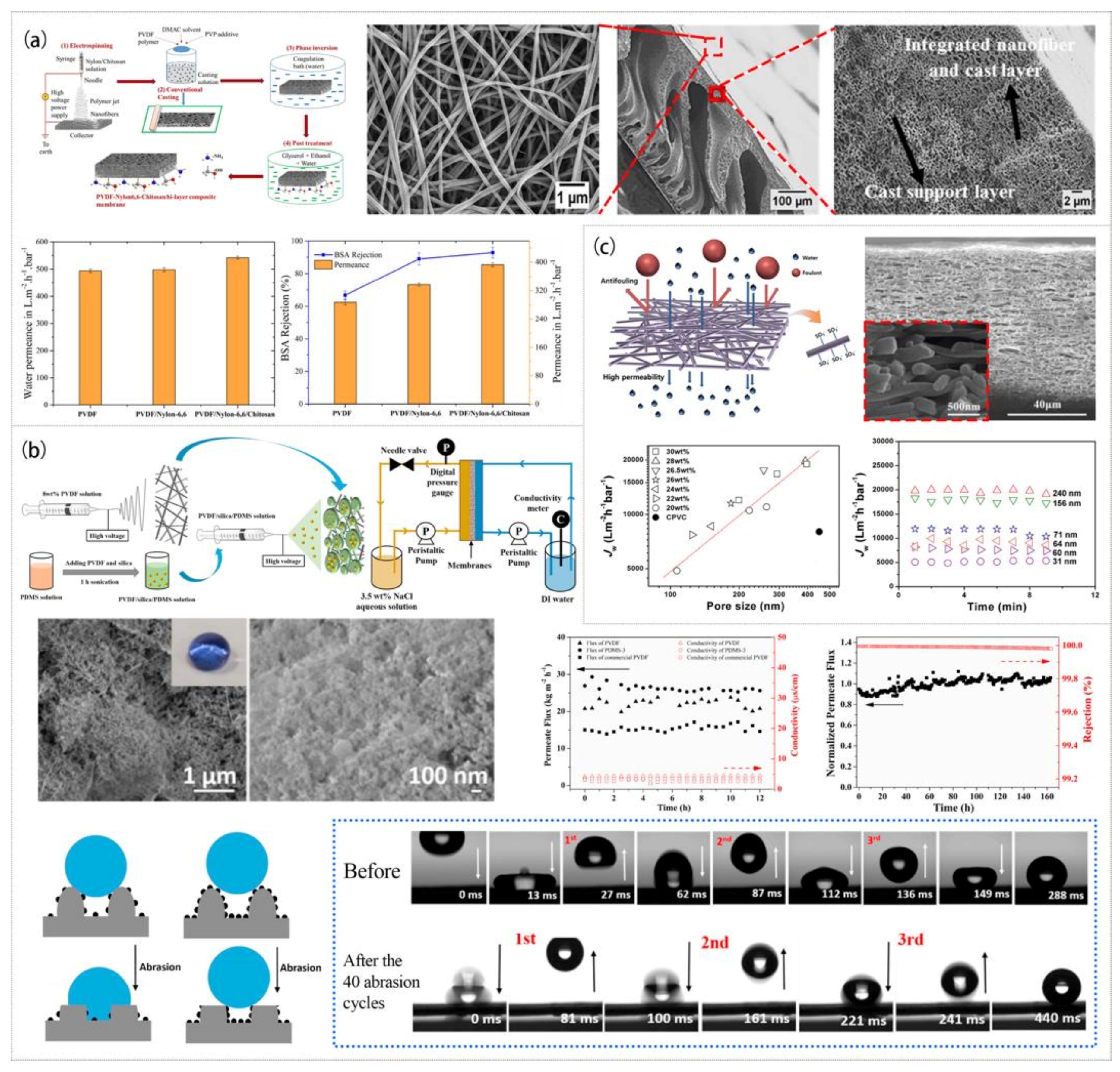 Polymers 15 00741 g011