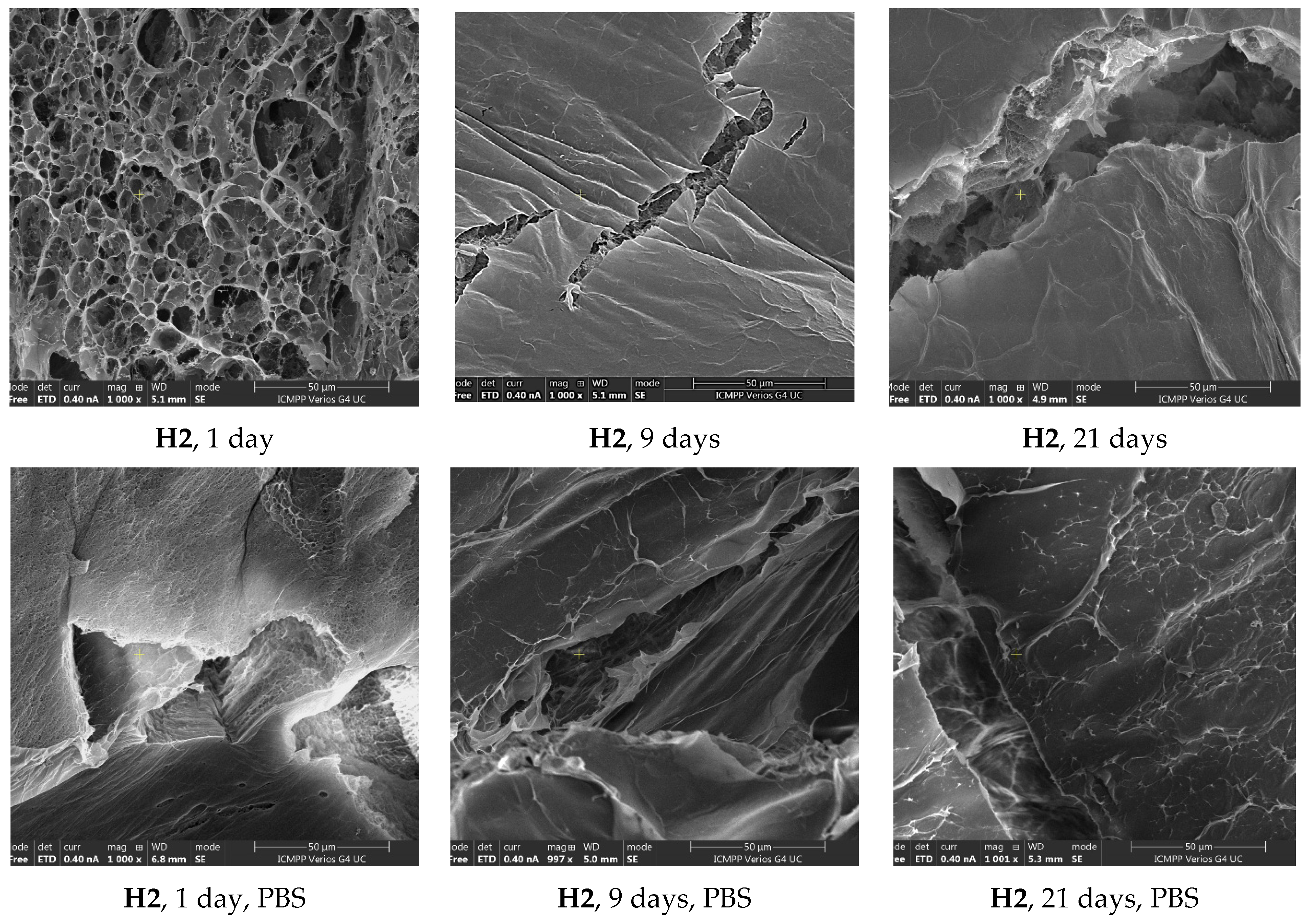 Polymers 15 00753 g005b