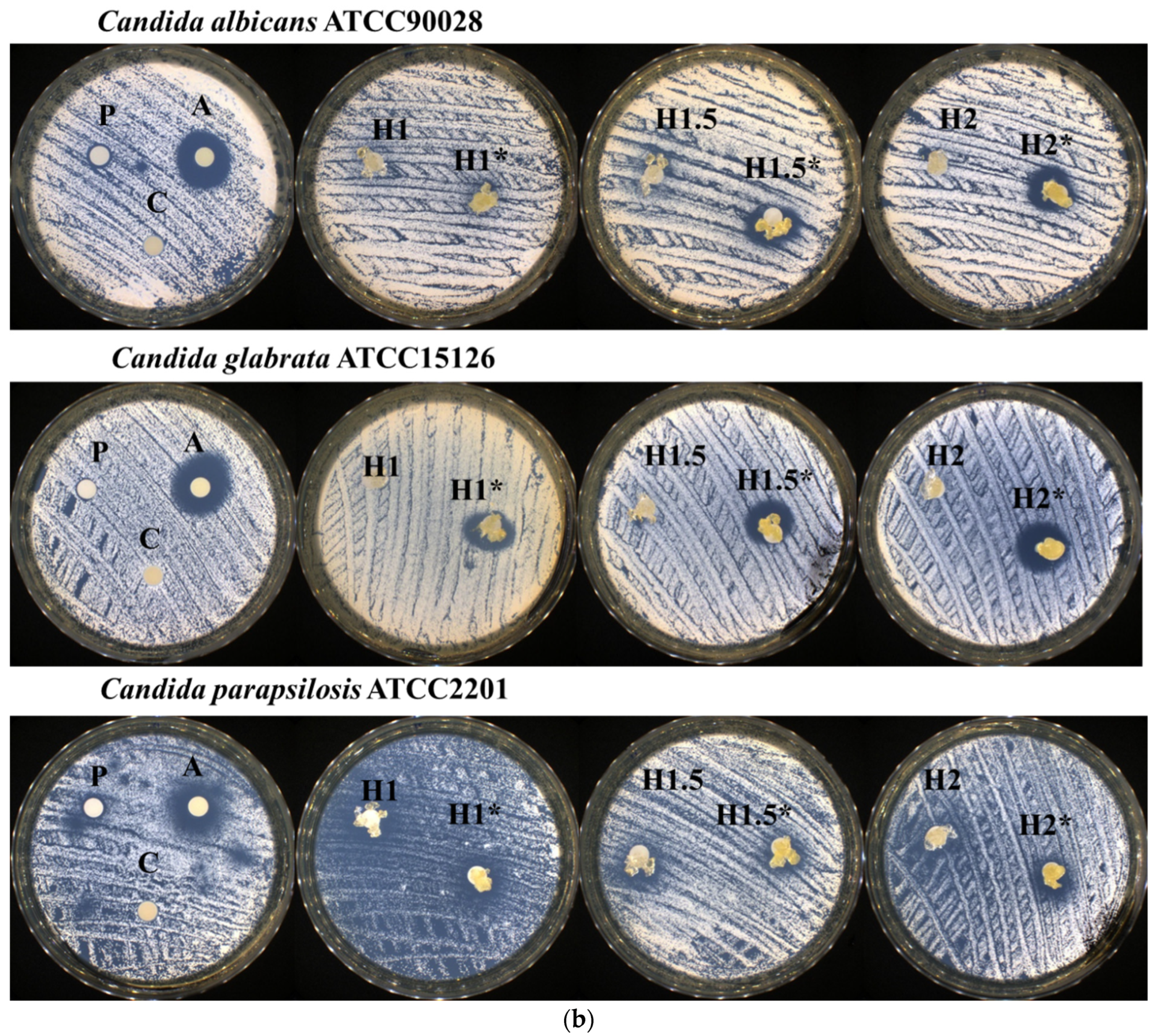 Polymers 15 00753 g007b