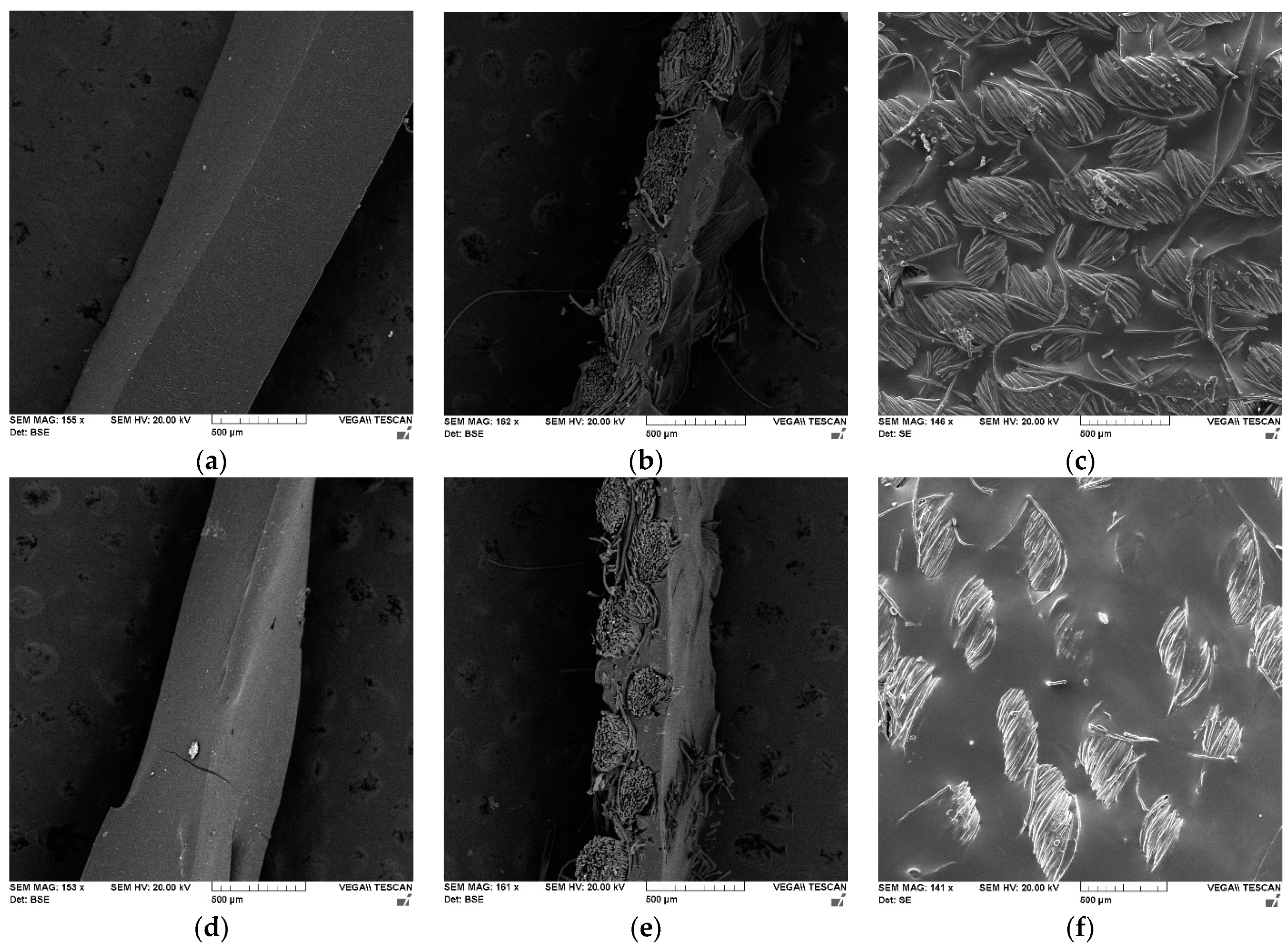 Polymers 15 00756 g006