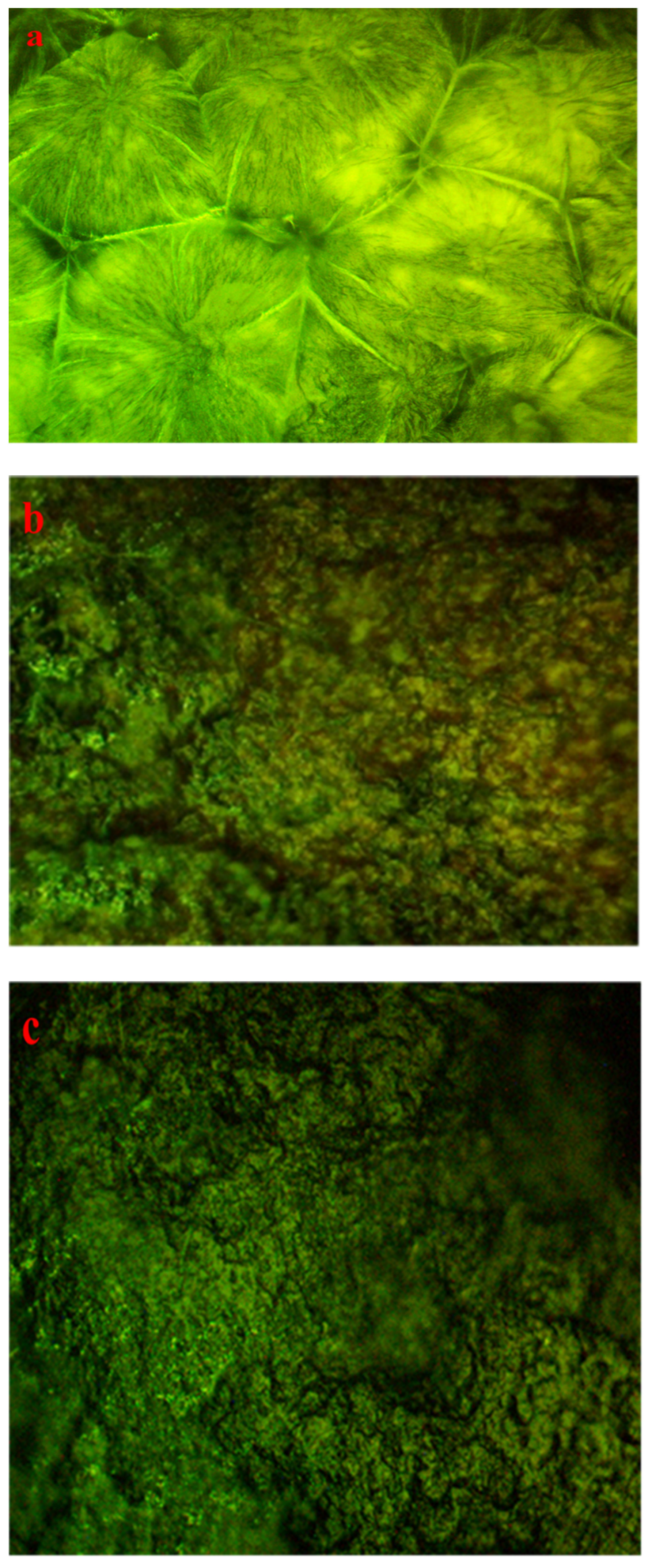 Polymers 15 00771 g010