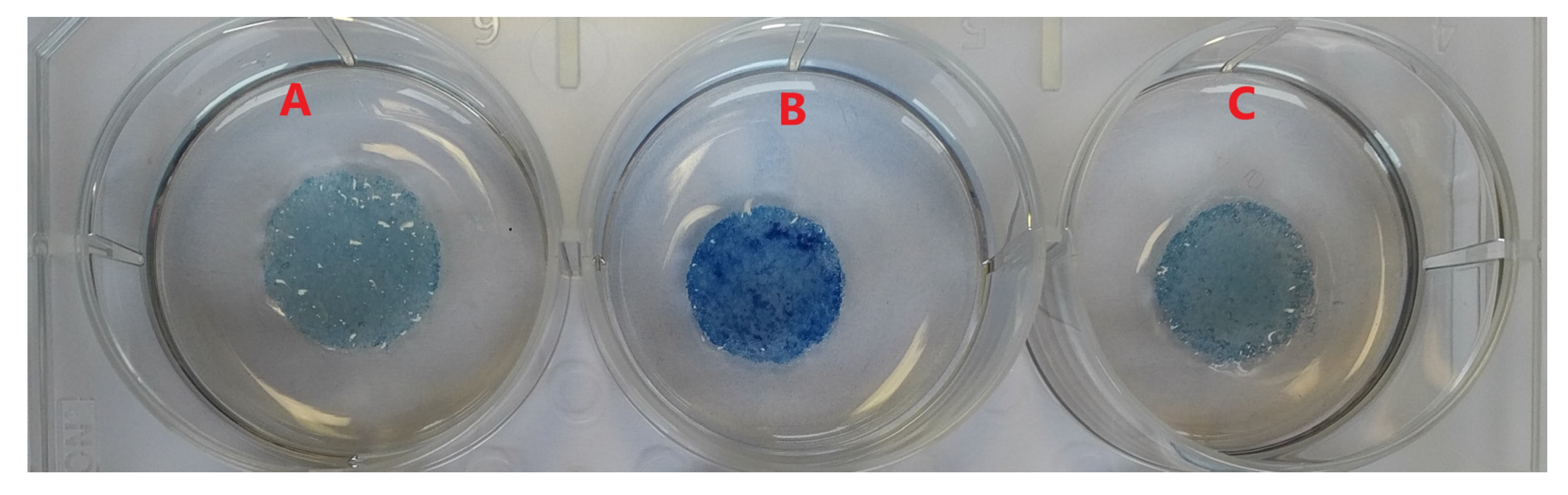 Polymers 15 00777 g002