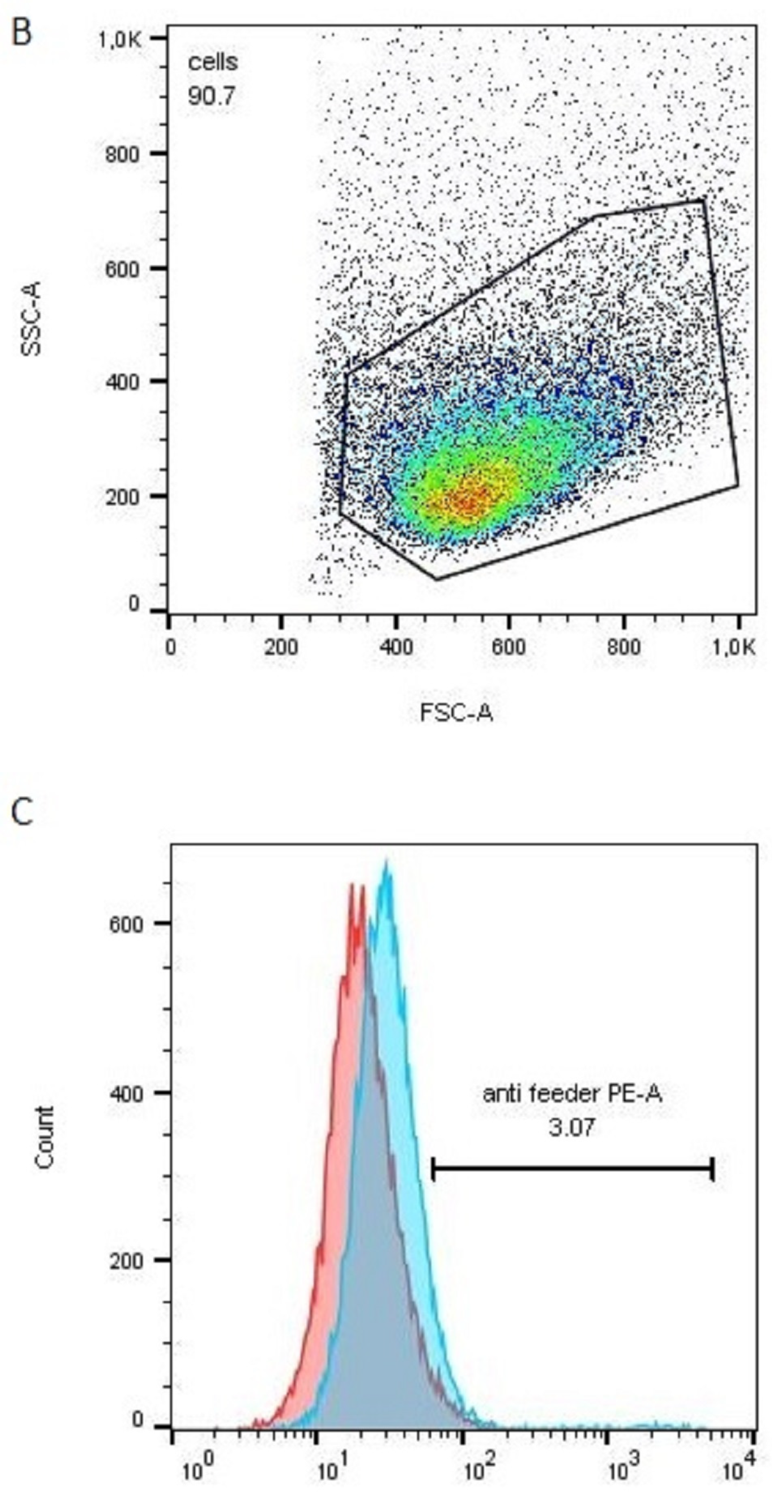 Polymers 15 00777 g011b